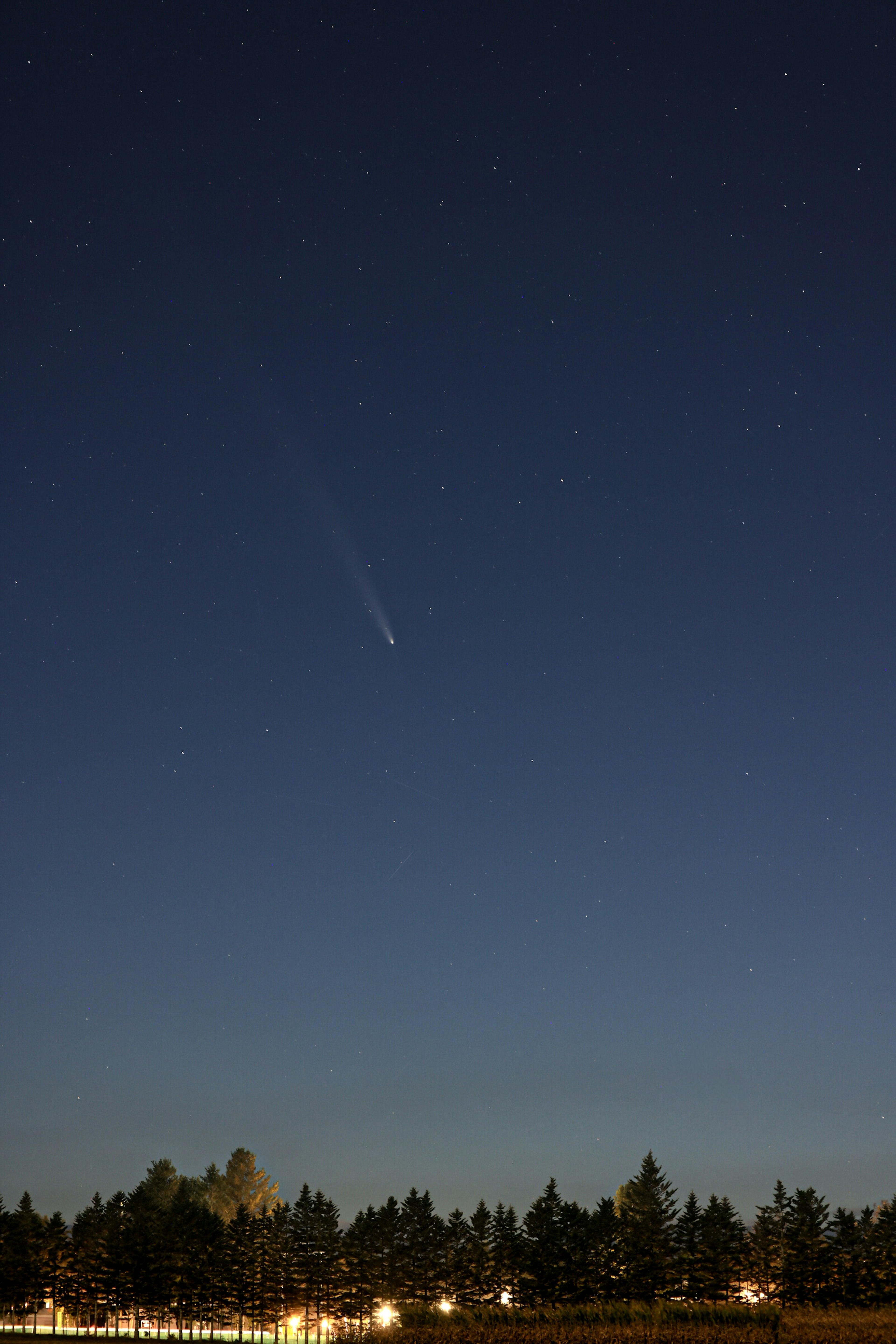 A comet visible in the night sky with stars and trees in silhouette