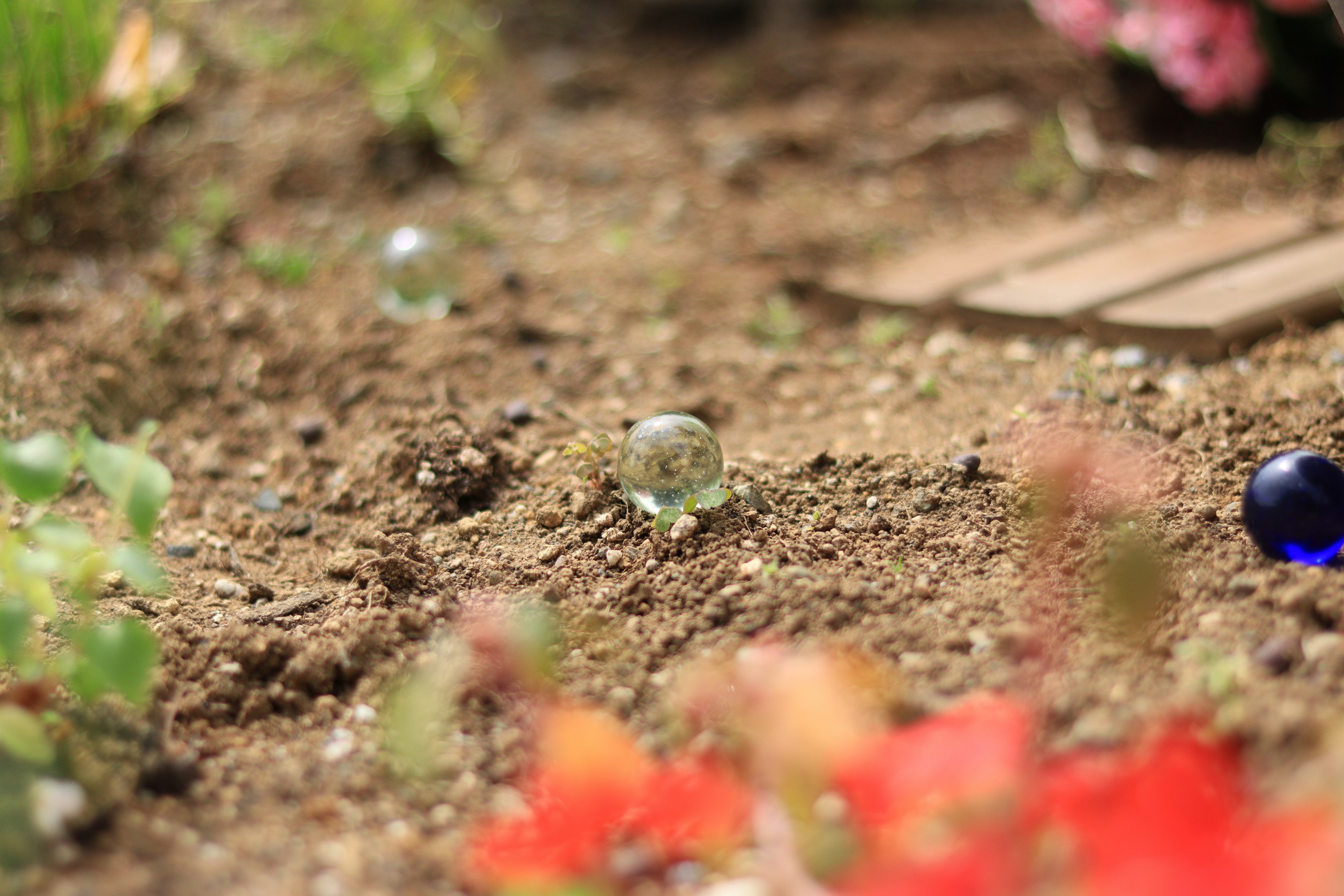 Bunte Murmeln auf dem Gartenboden mit Blumen