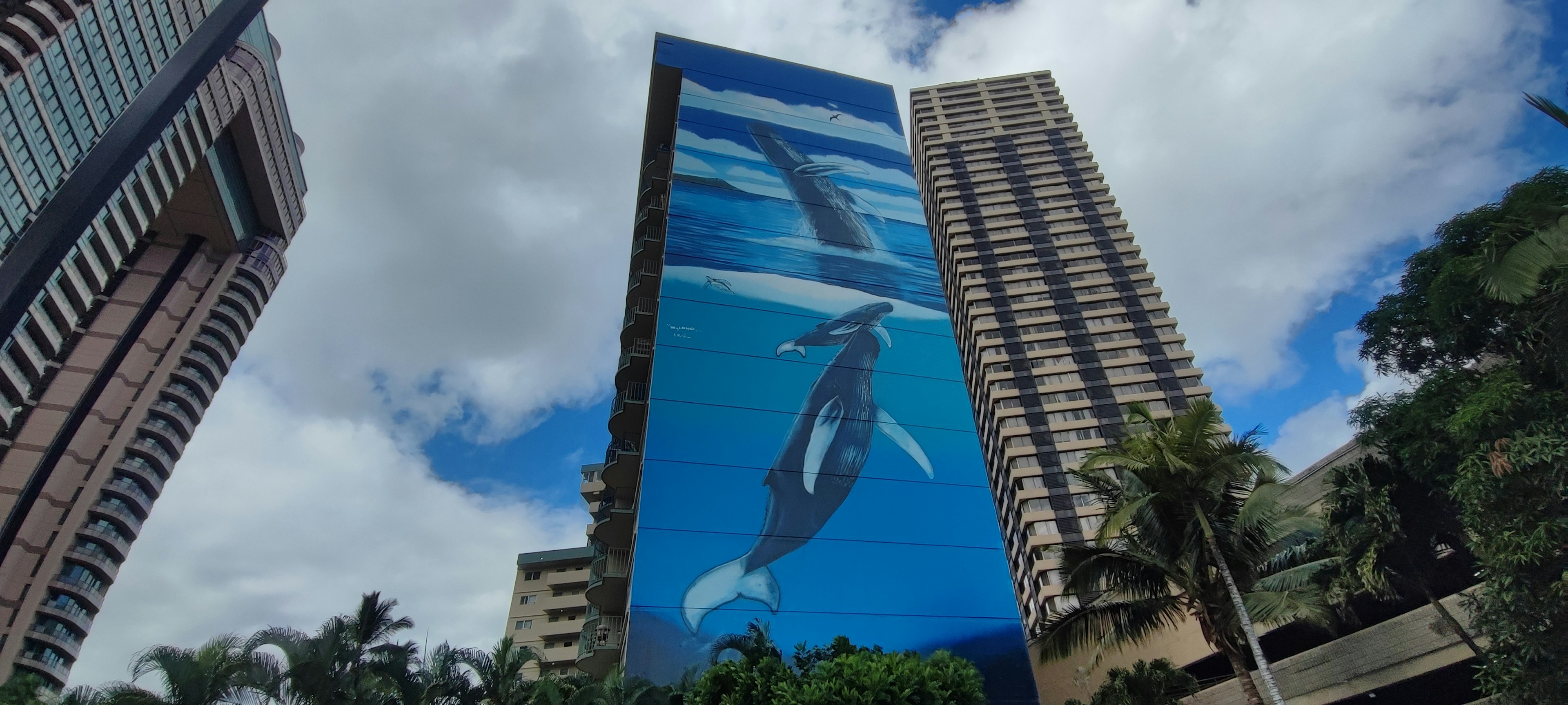 高層ビルの壁に描かれたクジラのアートワーク青空の下に立つ