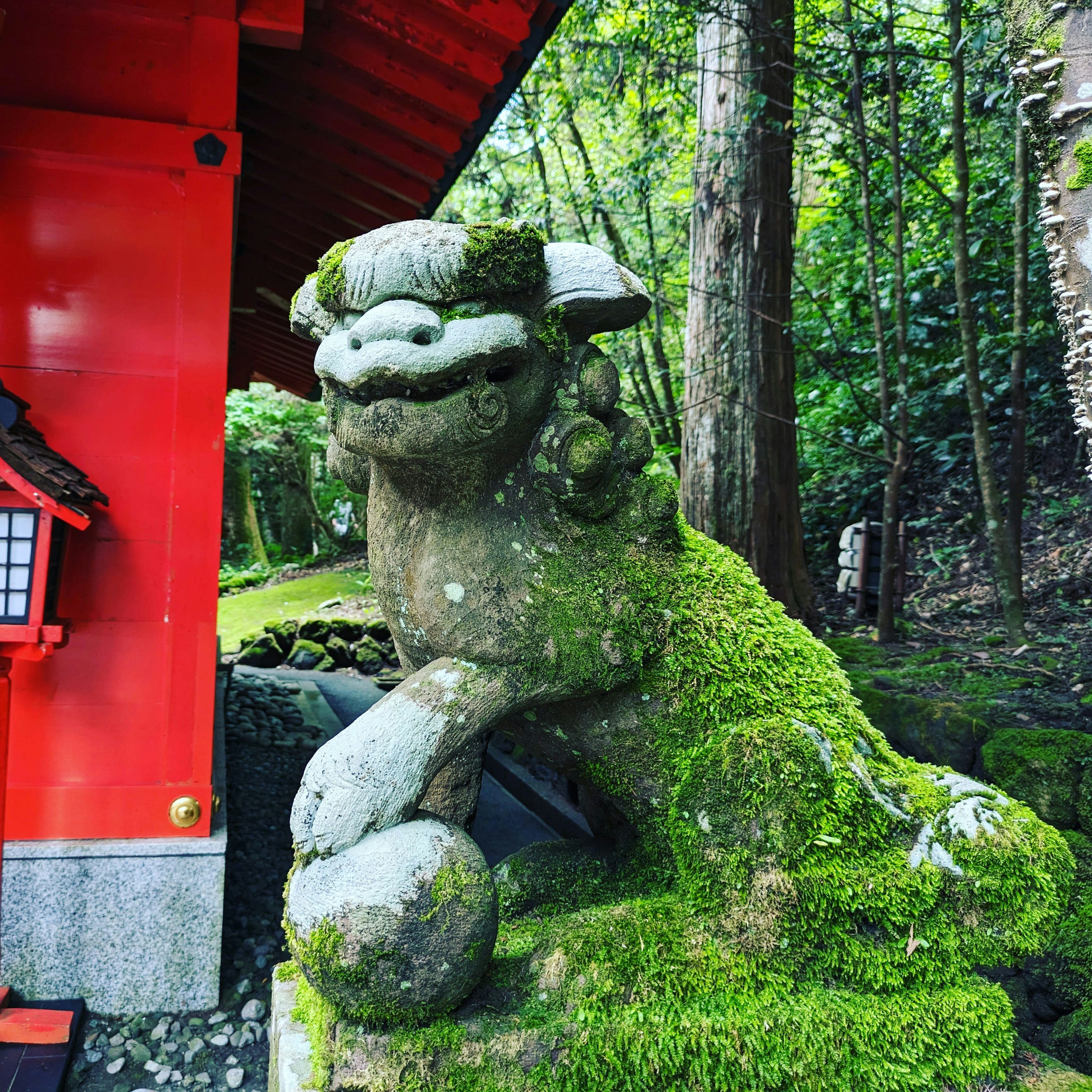 苔むした石の獅子像が赤い神社の隣に立っている