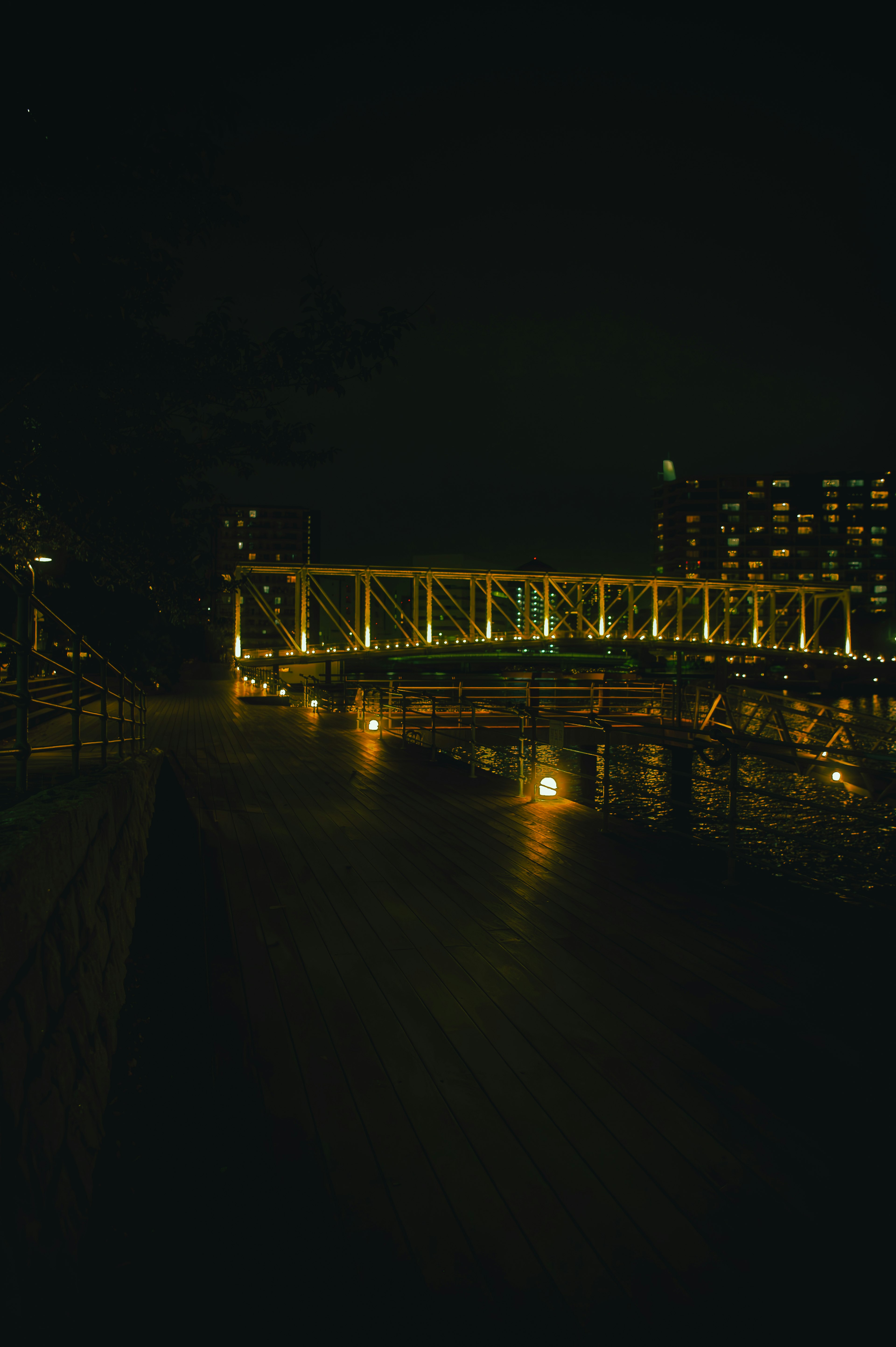 Bellissimo scenario notturno di un ponte con luci della città che si riflettono nell'acqua