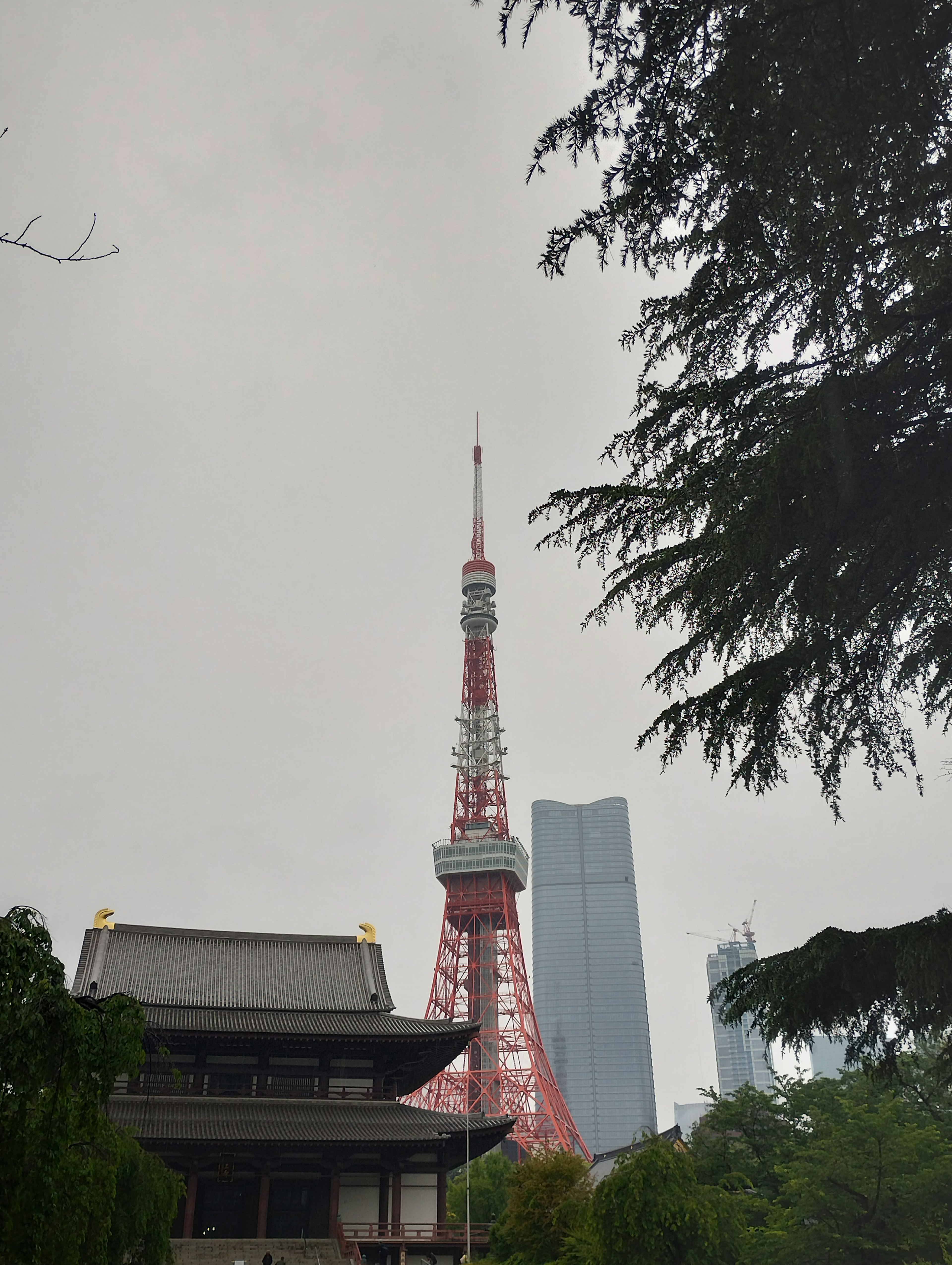 View of Tokyo Tower and modern buildings surrounded by nature traditional structure in the foreground