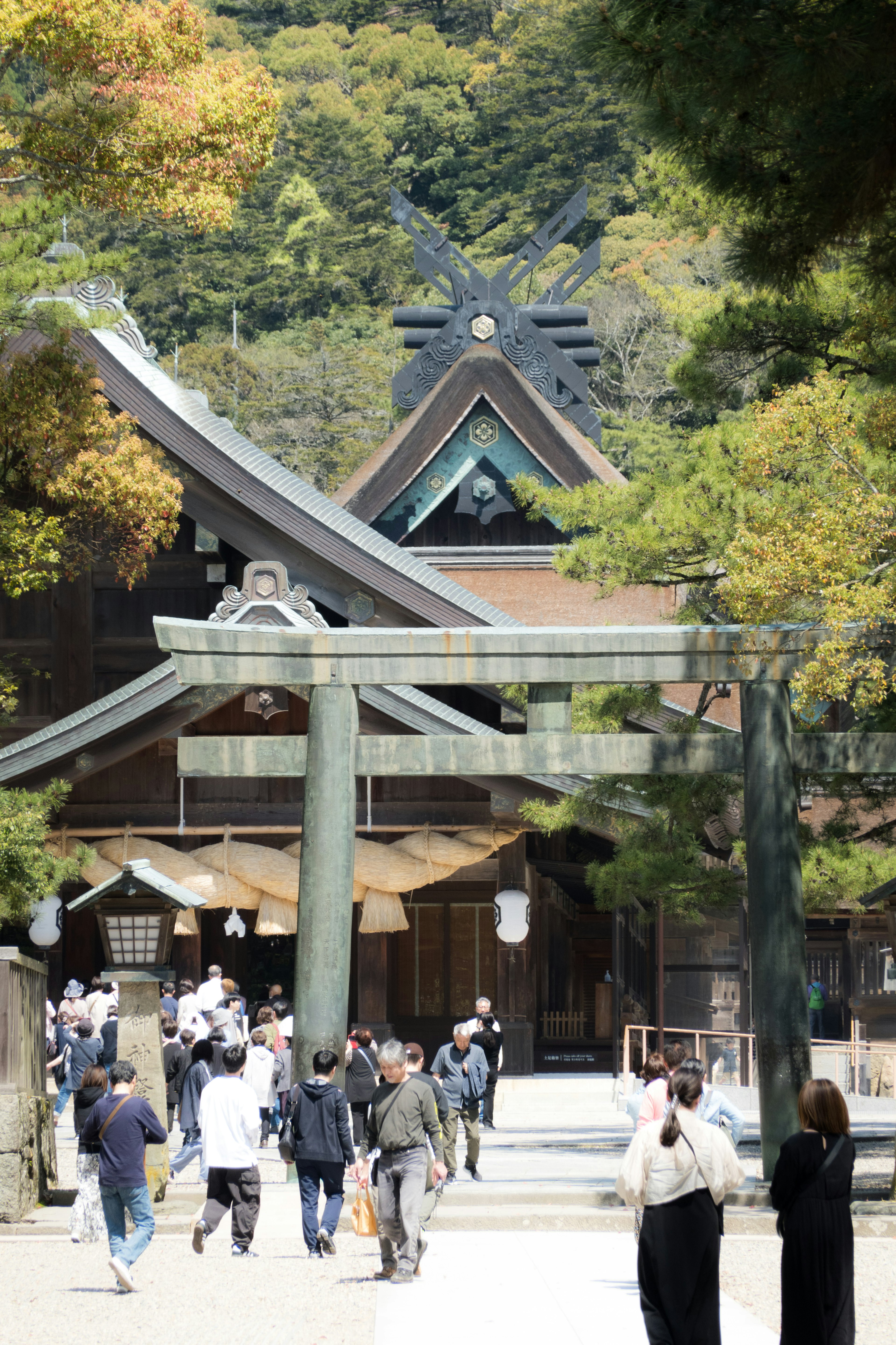 神社の入り口に人々が集まり、緑の木々に囲まれた伝統的な建築物が見える