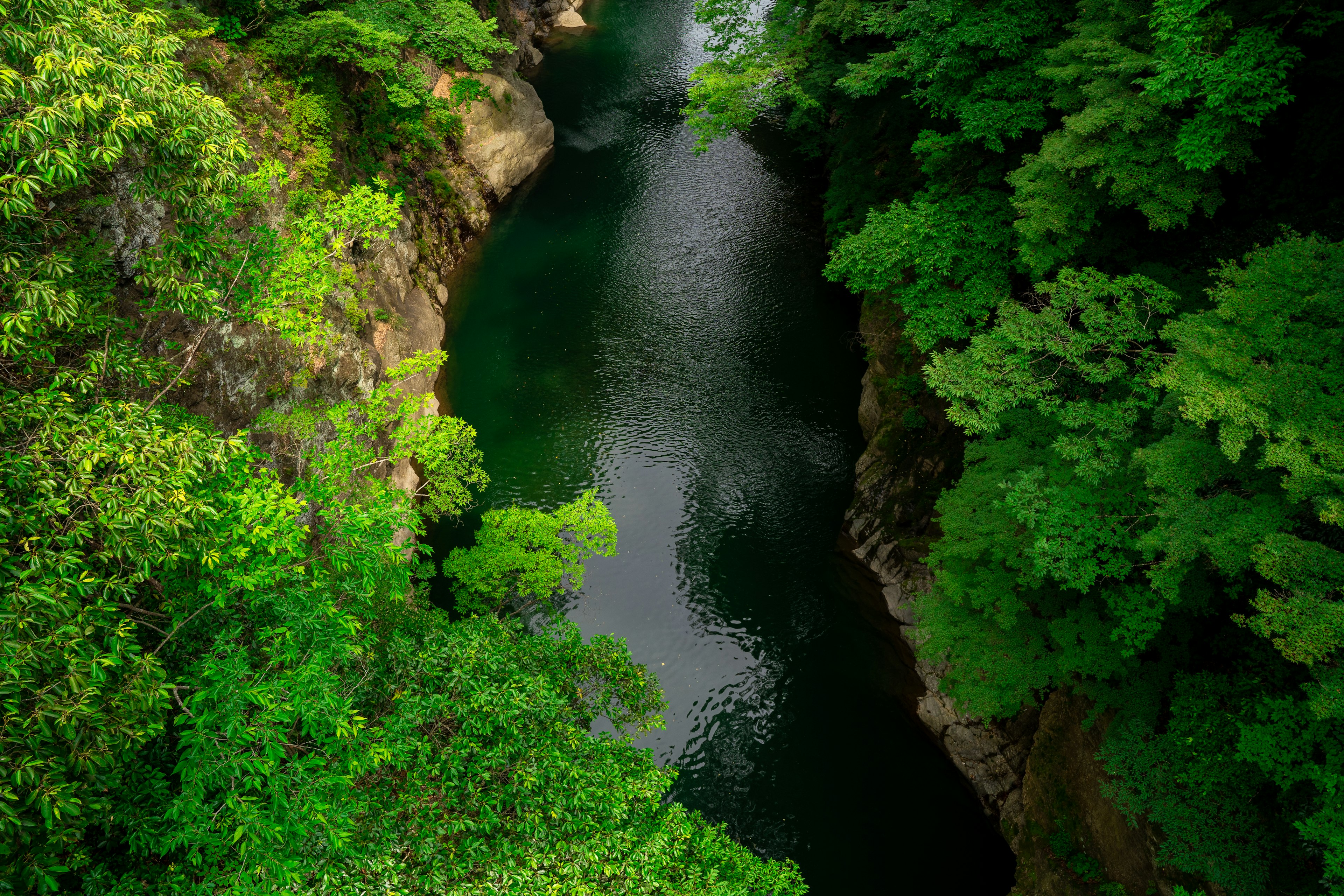 緑に囲まれた静かな川の上空からの眺め