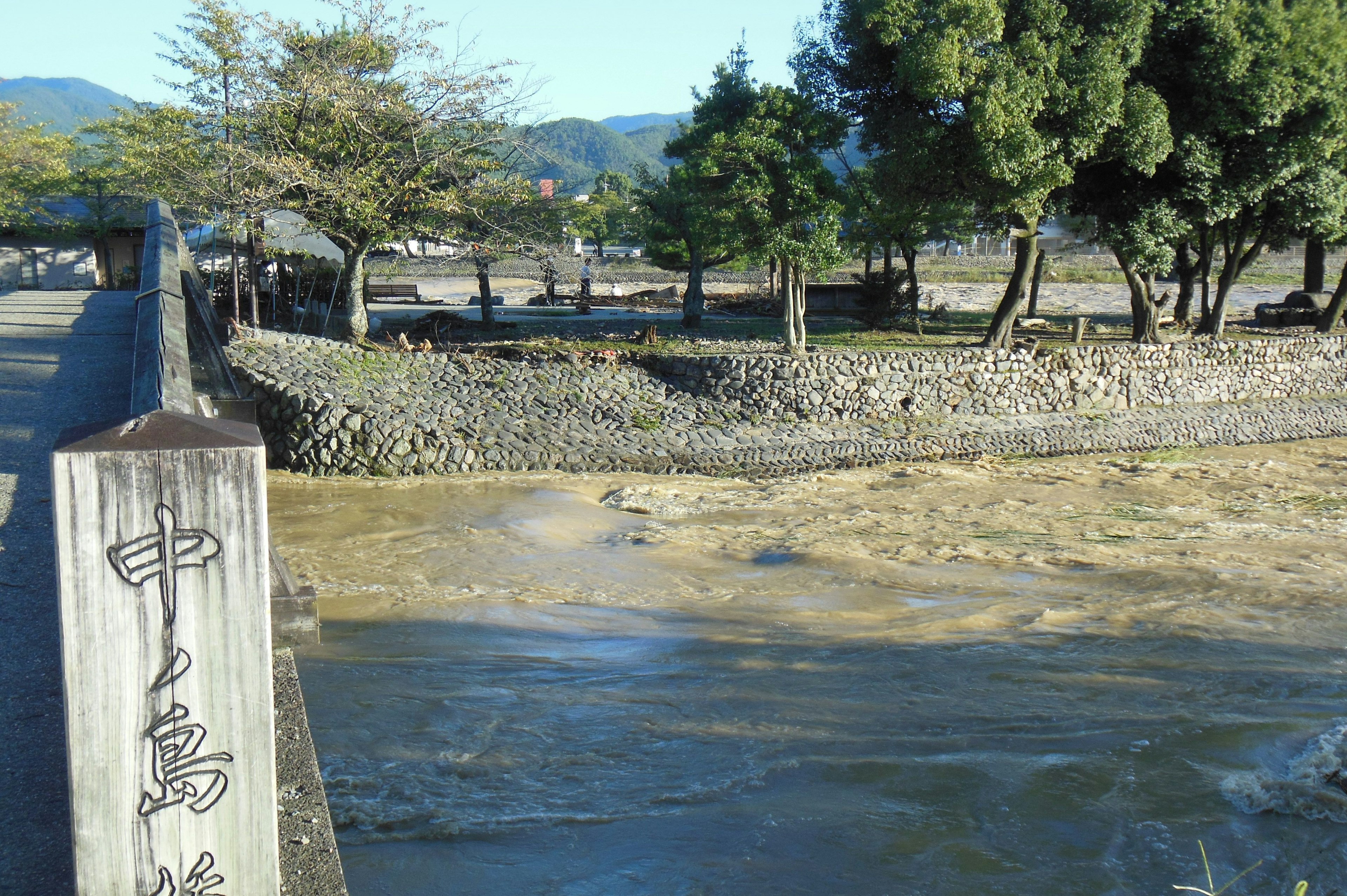 川の流れと木々が映る風景橋の近くの自然