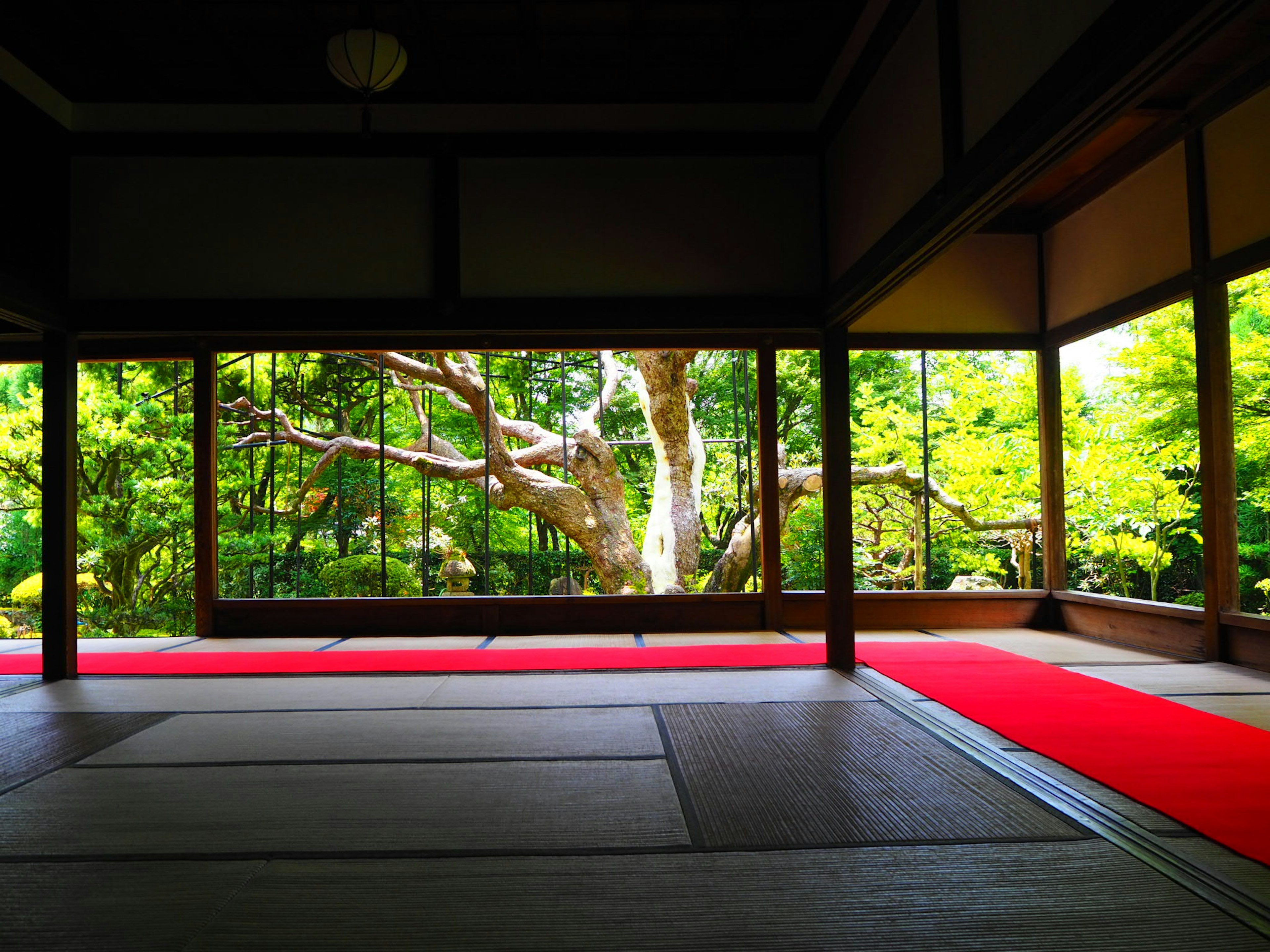 Traditionelles japanisches Zimmer mit Blick auf einen grünen Garten