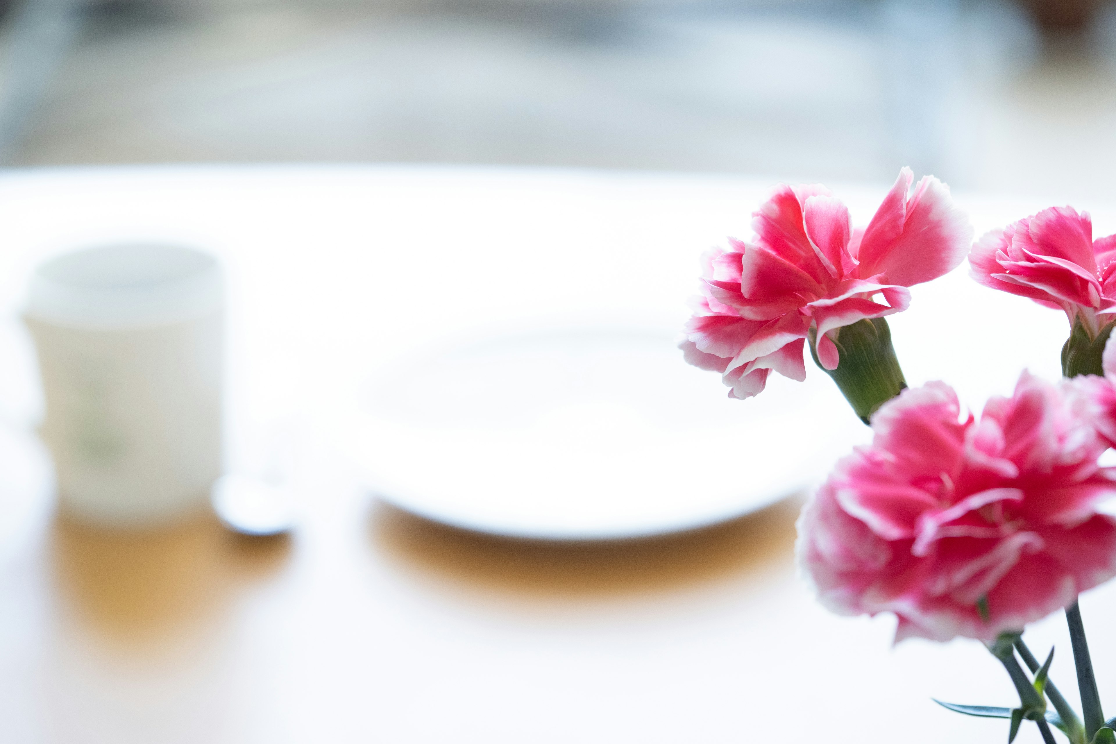 Pink carnations on a table with a white plate and cup