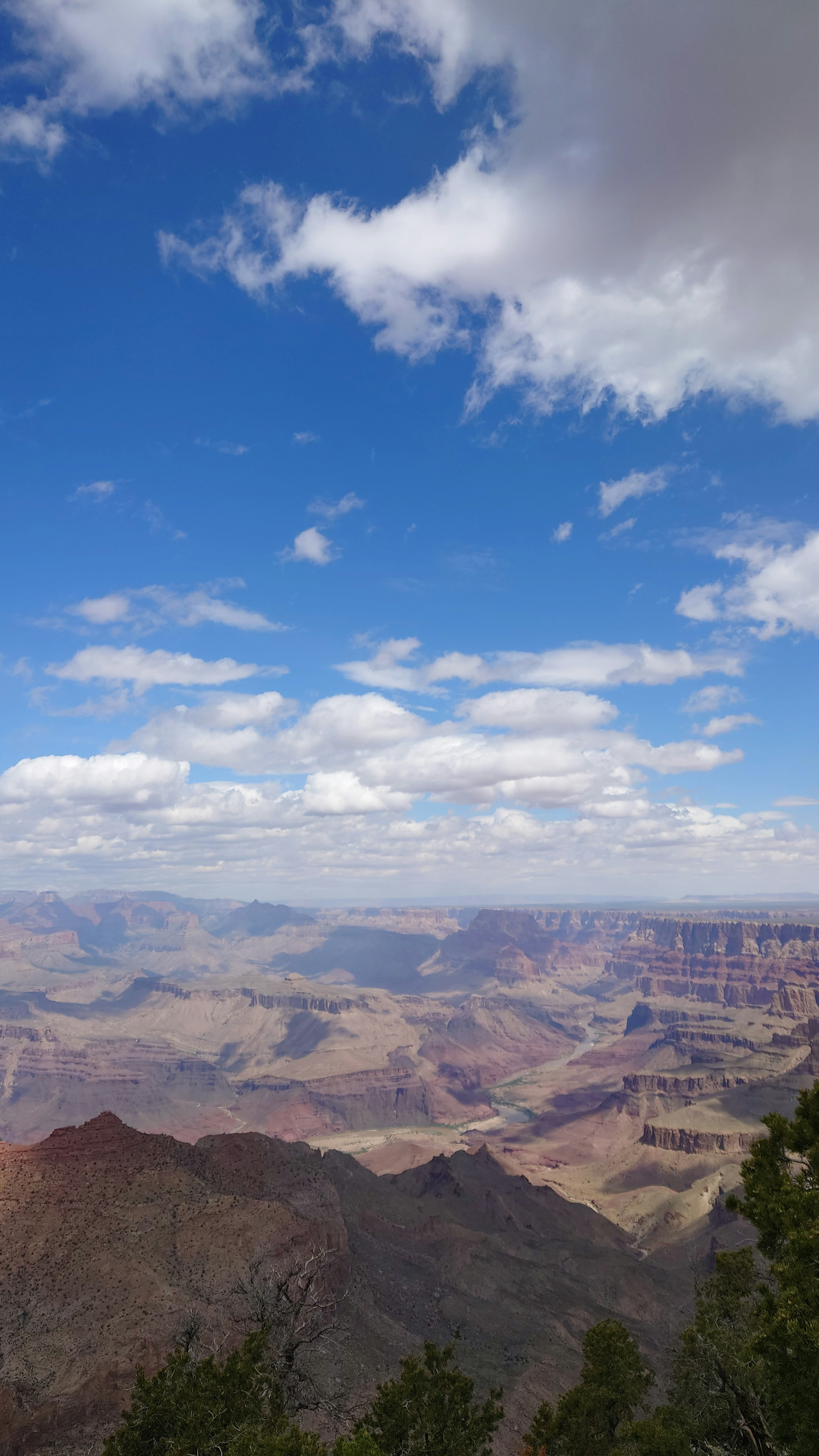 Expansive view of the Grand Canyon with blue sky and white clouds