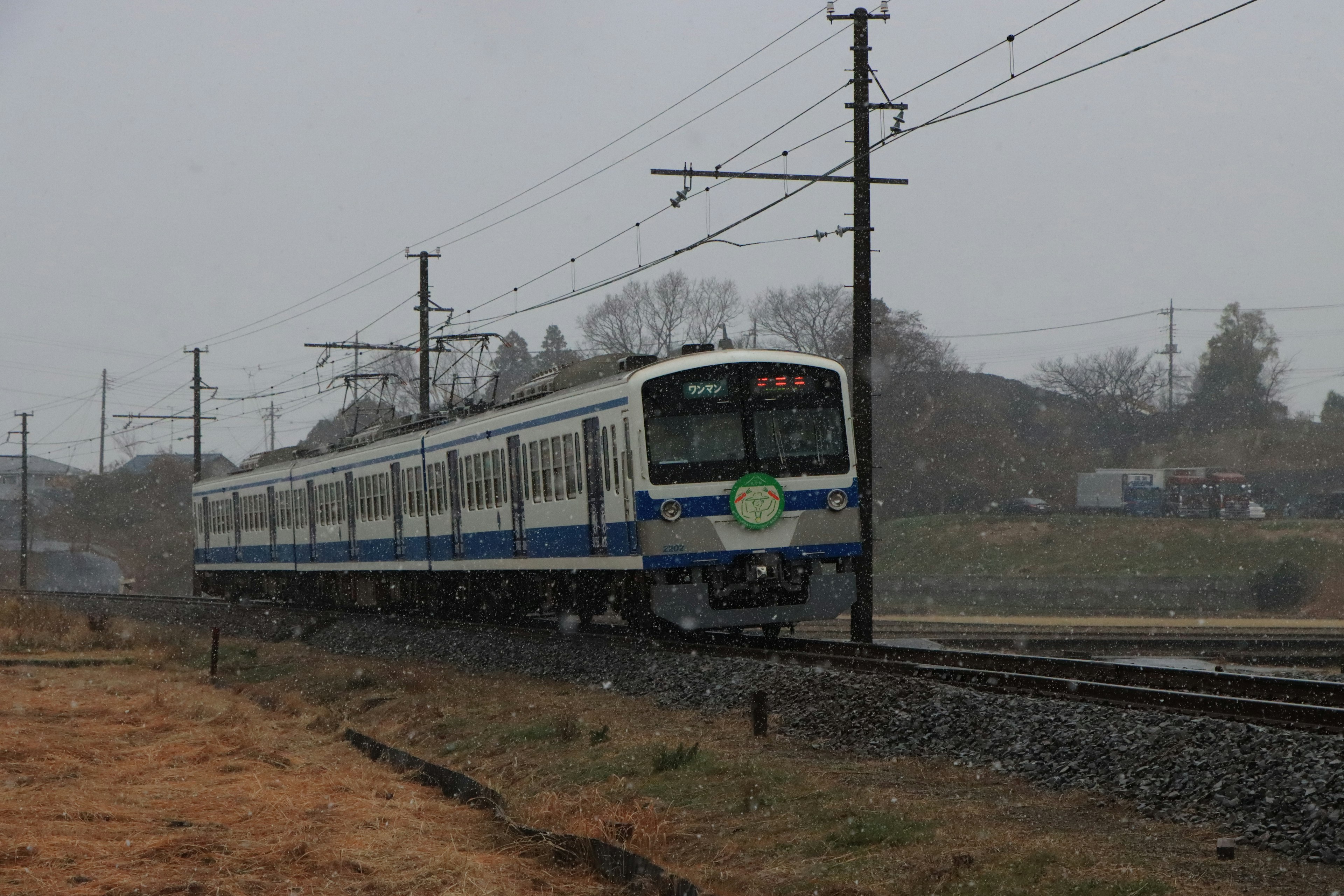 Train bleu et blanc circulant sous la pluie