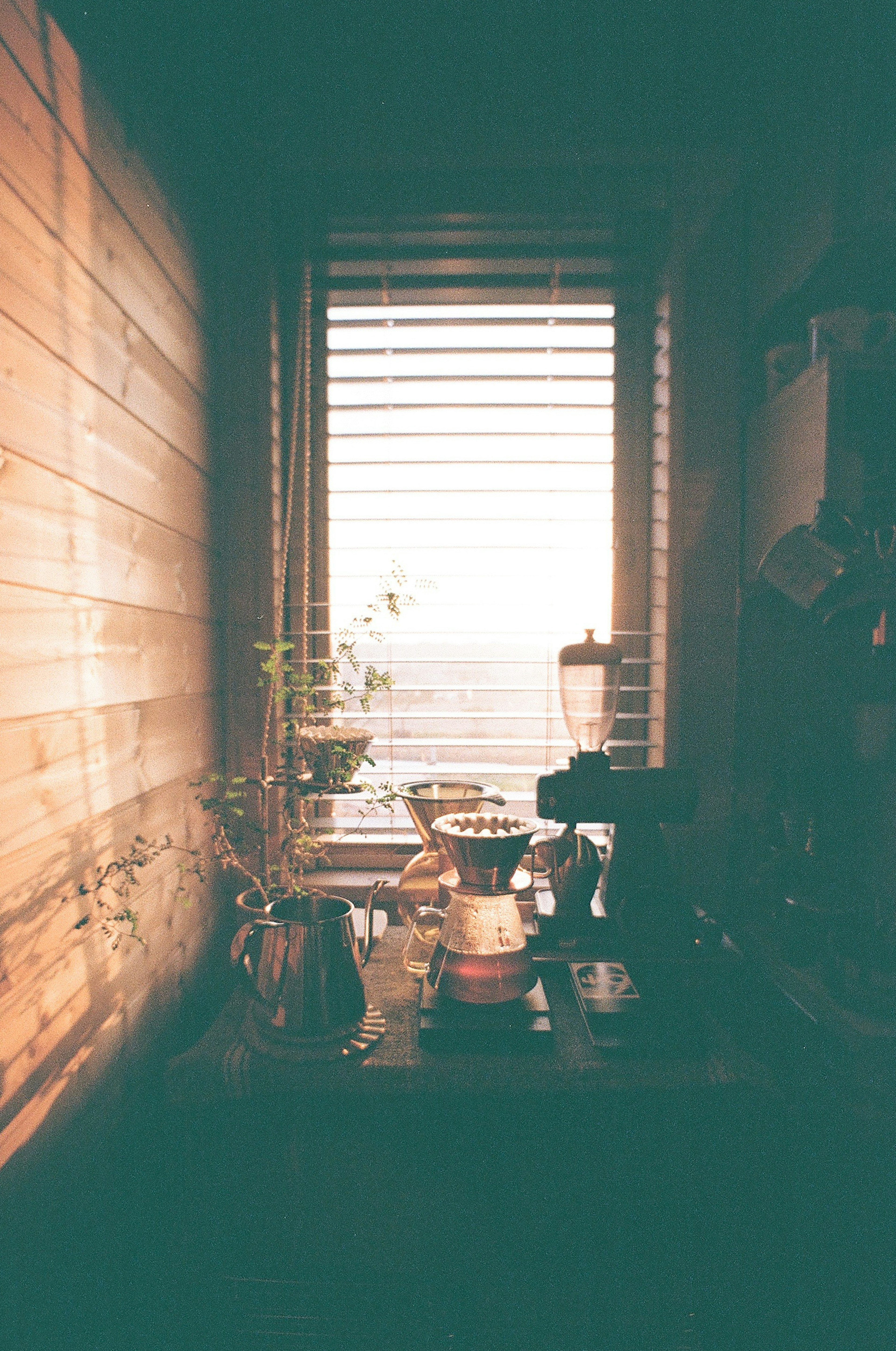 Warm kitchen corner with coffee brewing equipment and a potted plant by the window