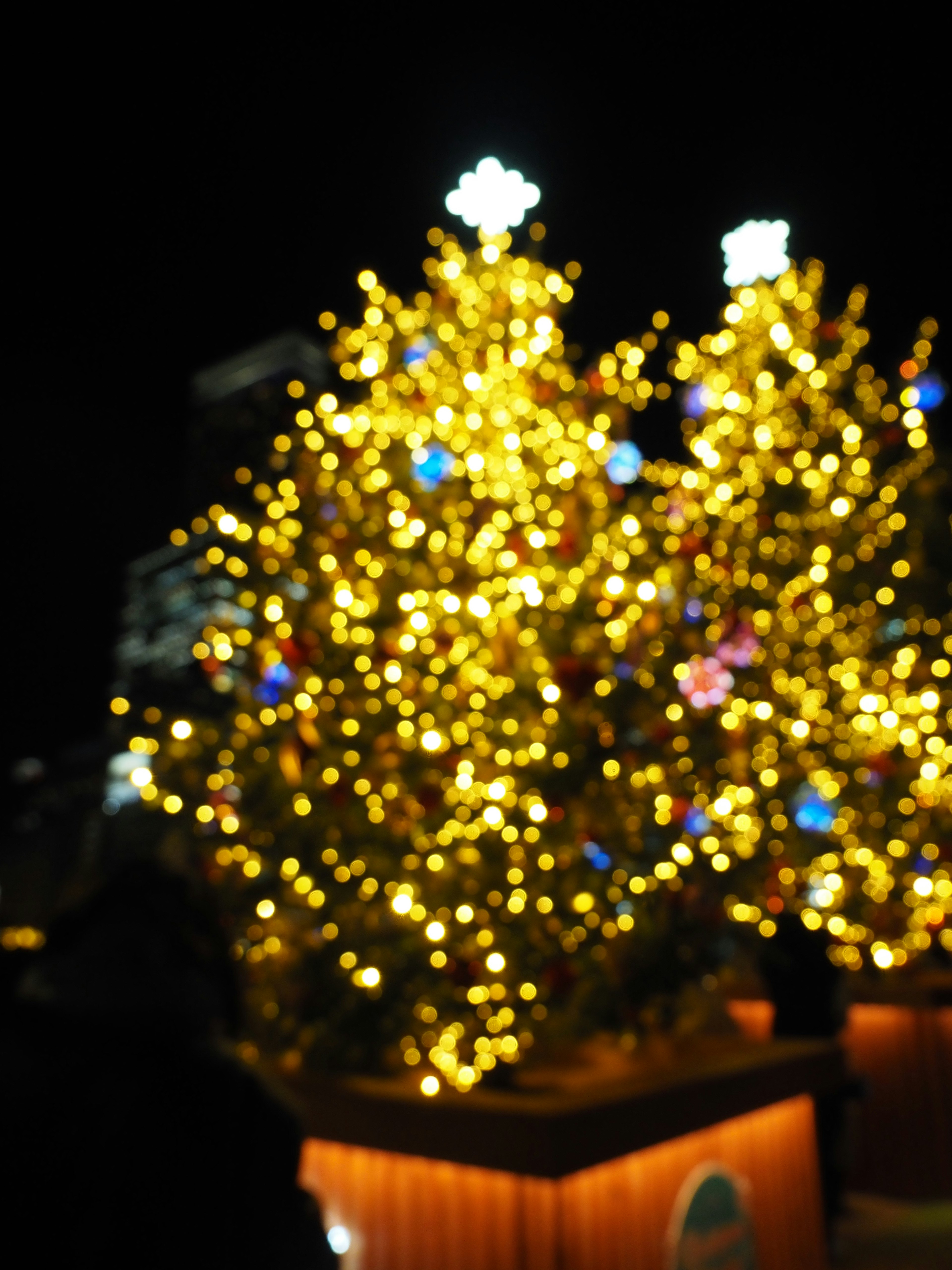 クリスマスツリーの明るいライトが輝く夜の風景