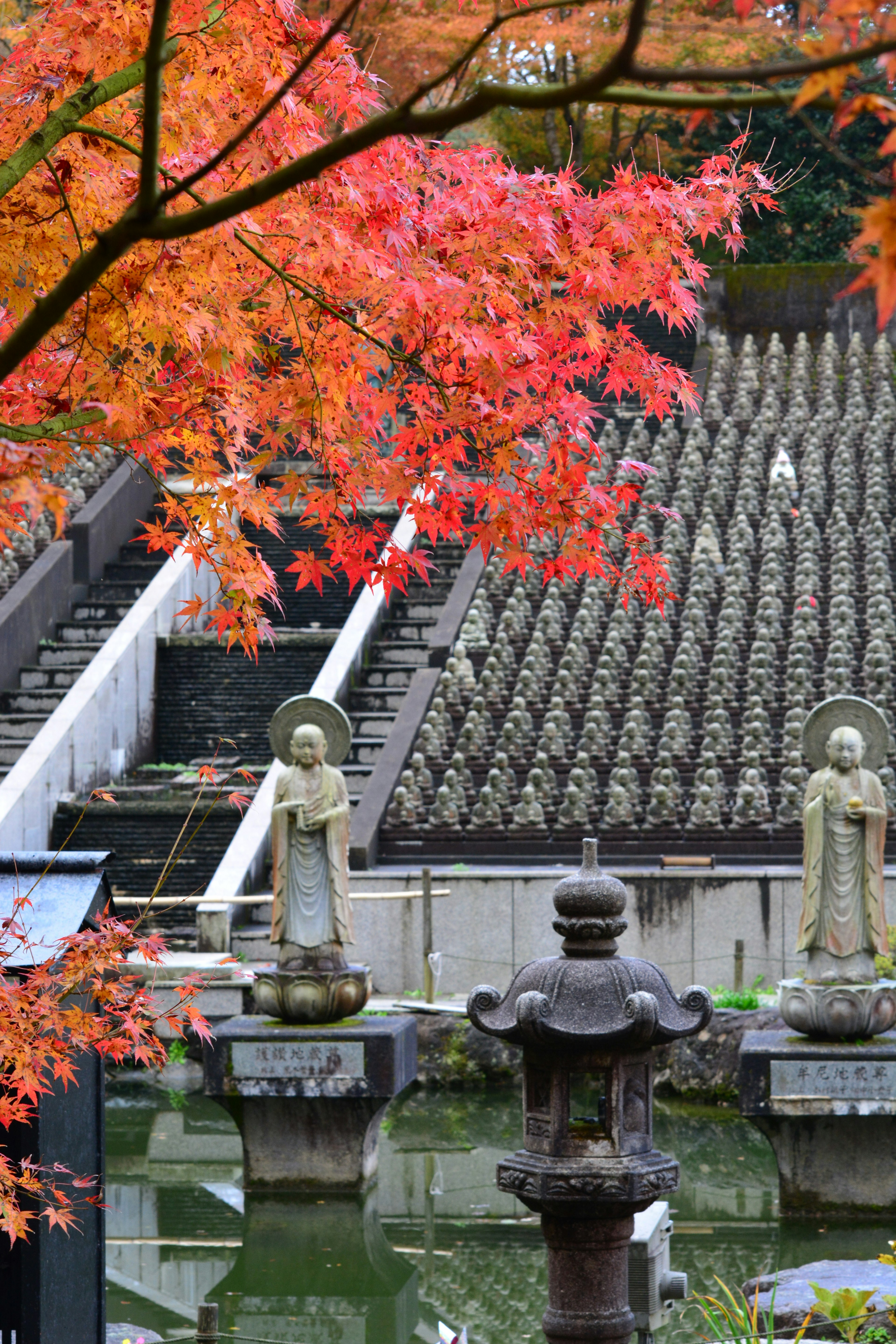 Scène de jardin magnifique avec des arbres à feuilles rouges et des statues de Bouddha