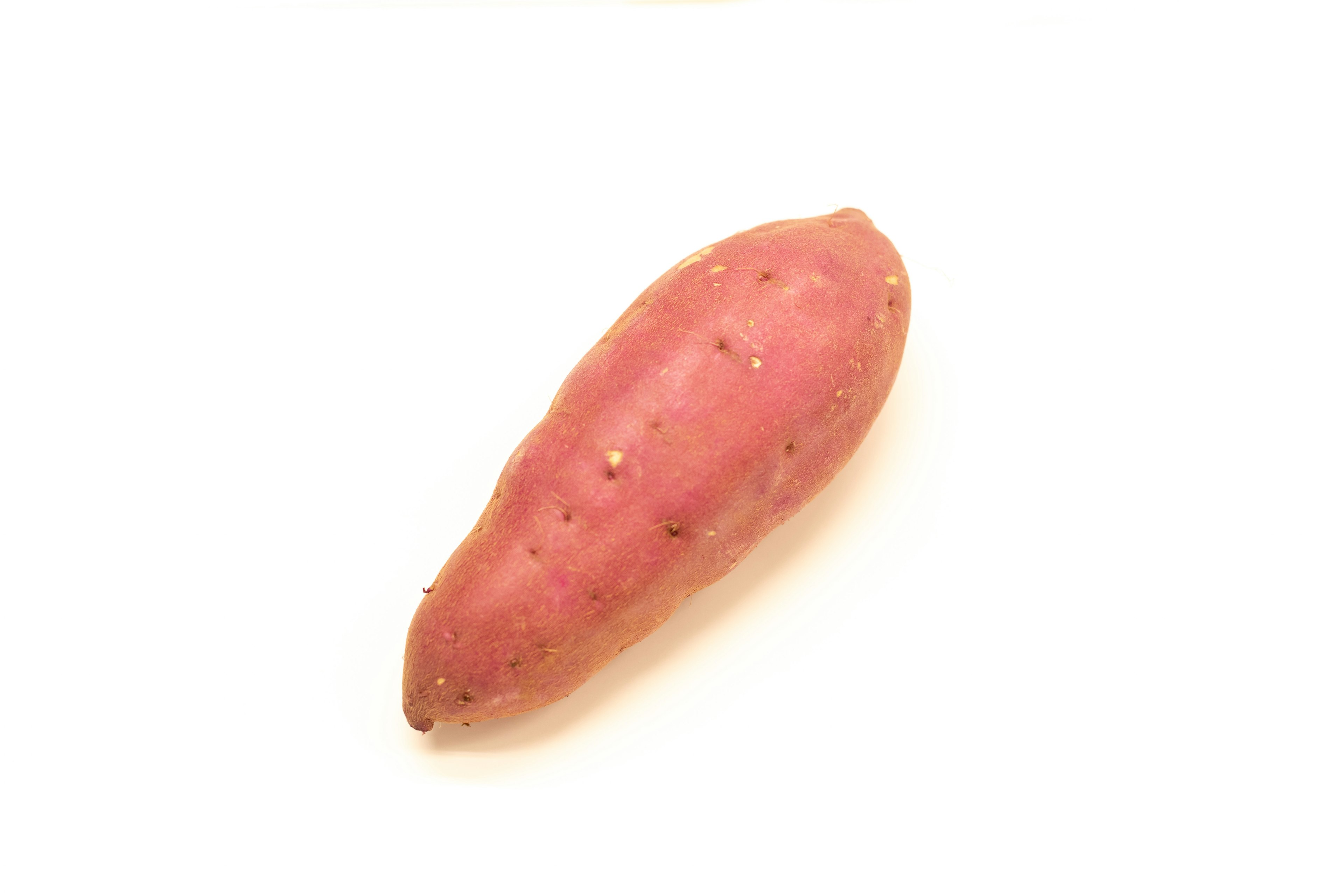 A vibrant sweet potato placed on a white background