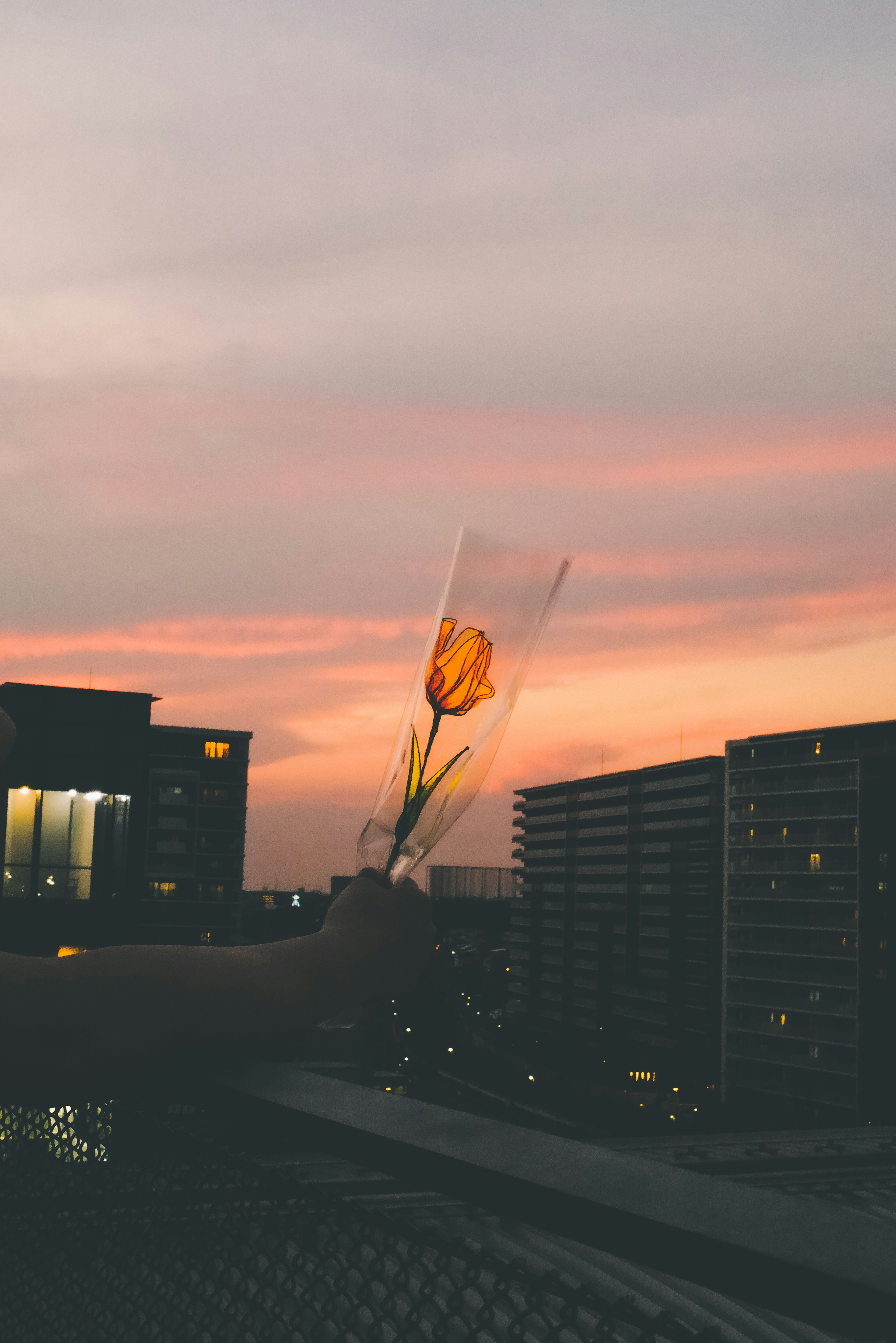 夕焼けの空を背景にした手に持たれた黄色いバラの花束