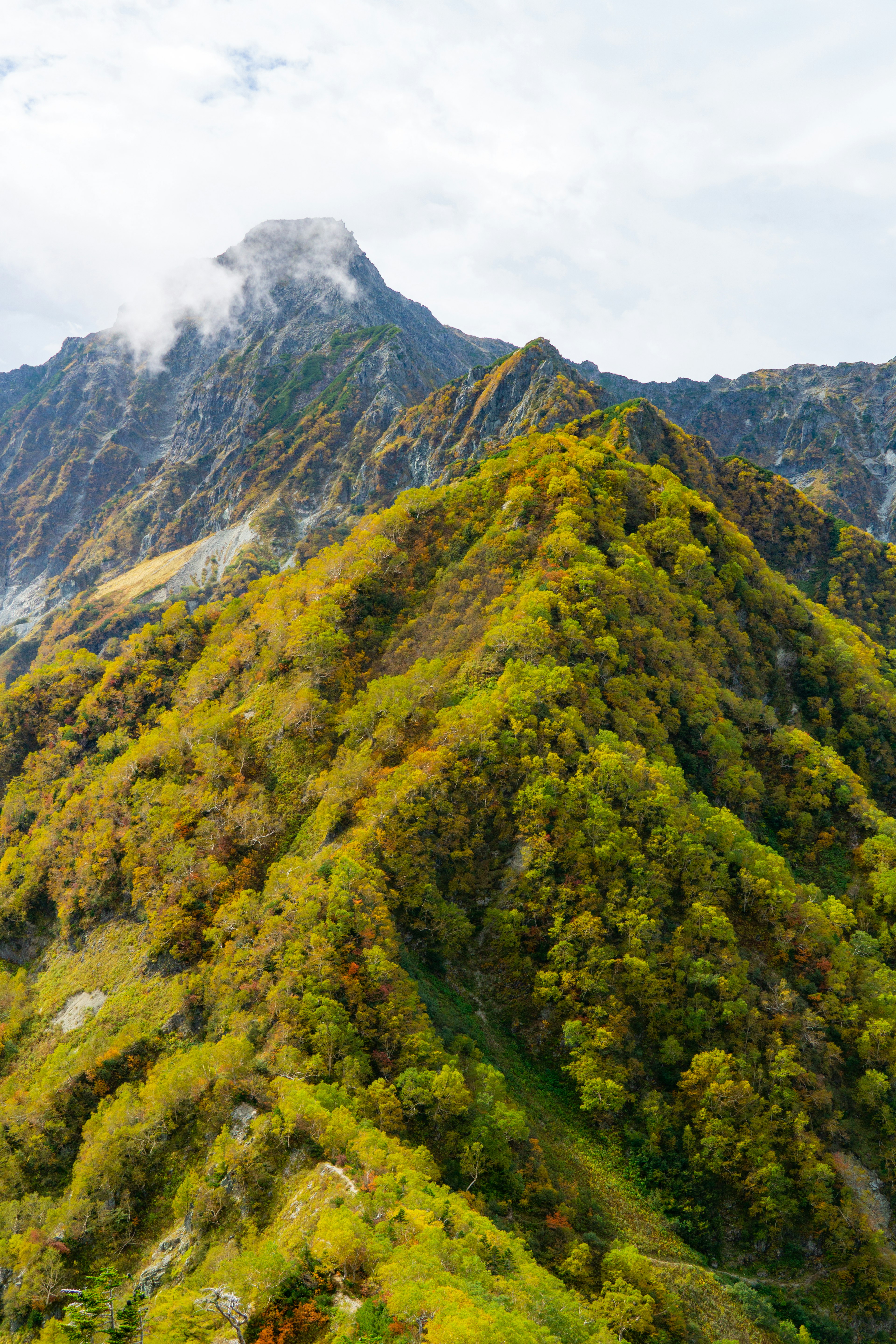 Vibrant green and yellow mountain landscape with a cloud-covered peak and beautiful natural scenery