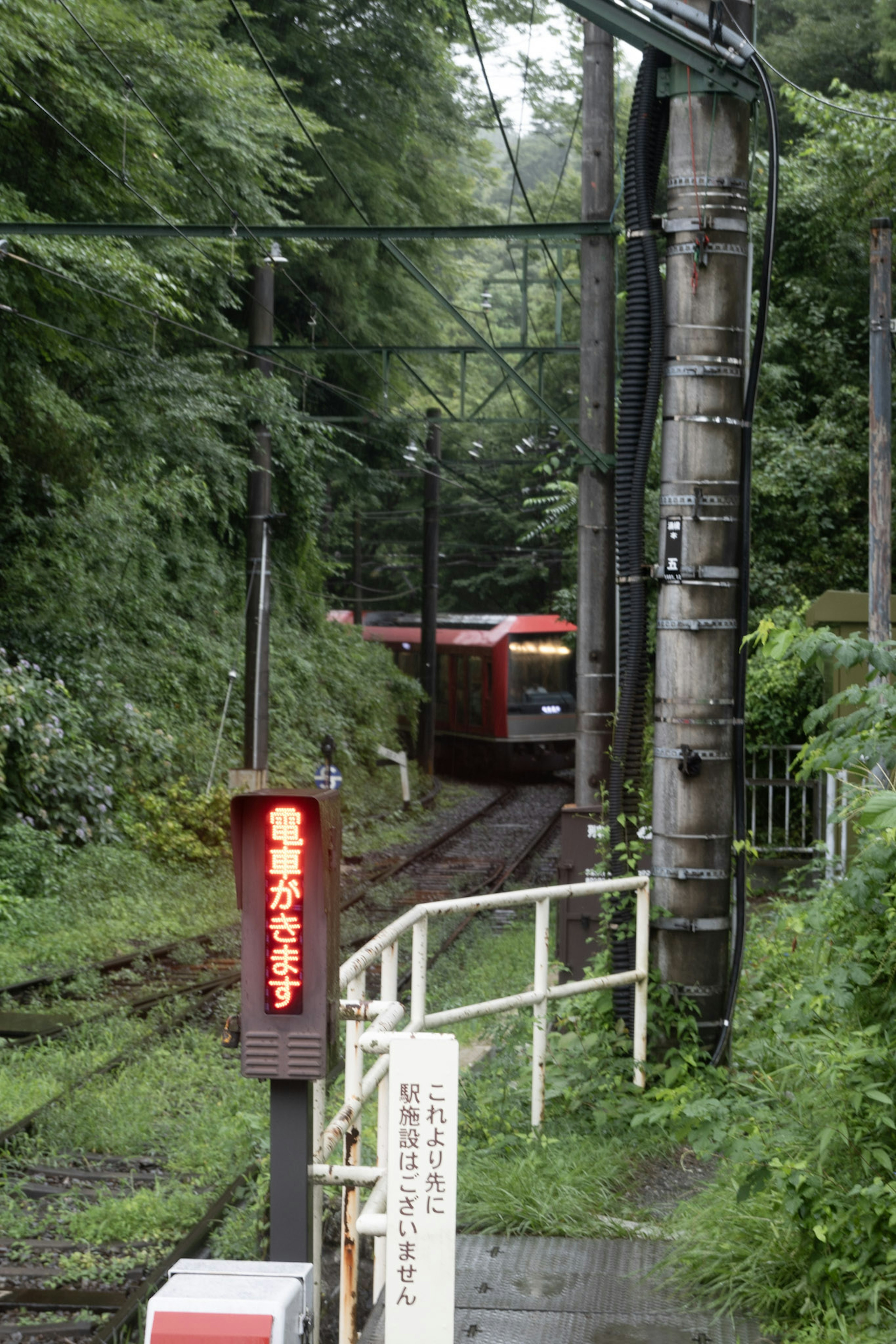 Un train rouge apparaît dans un paysage verdoyant le long des rails