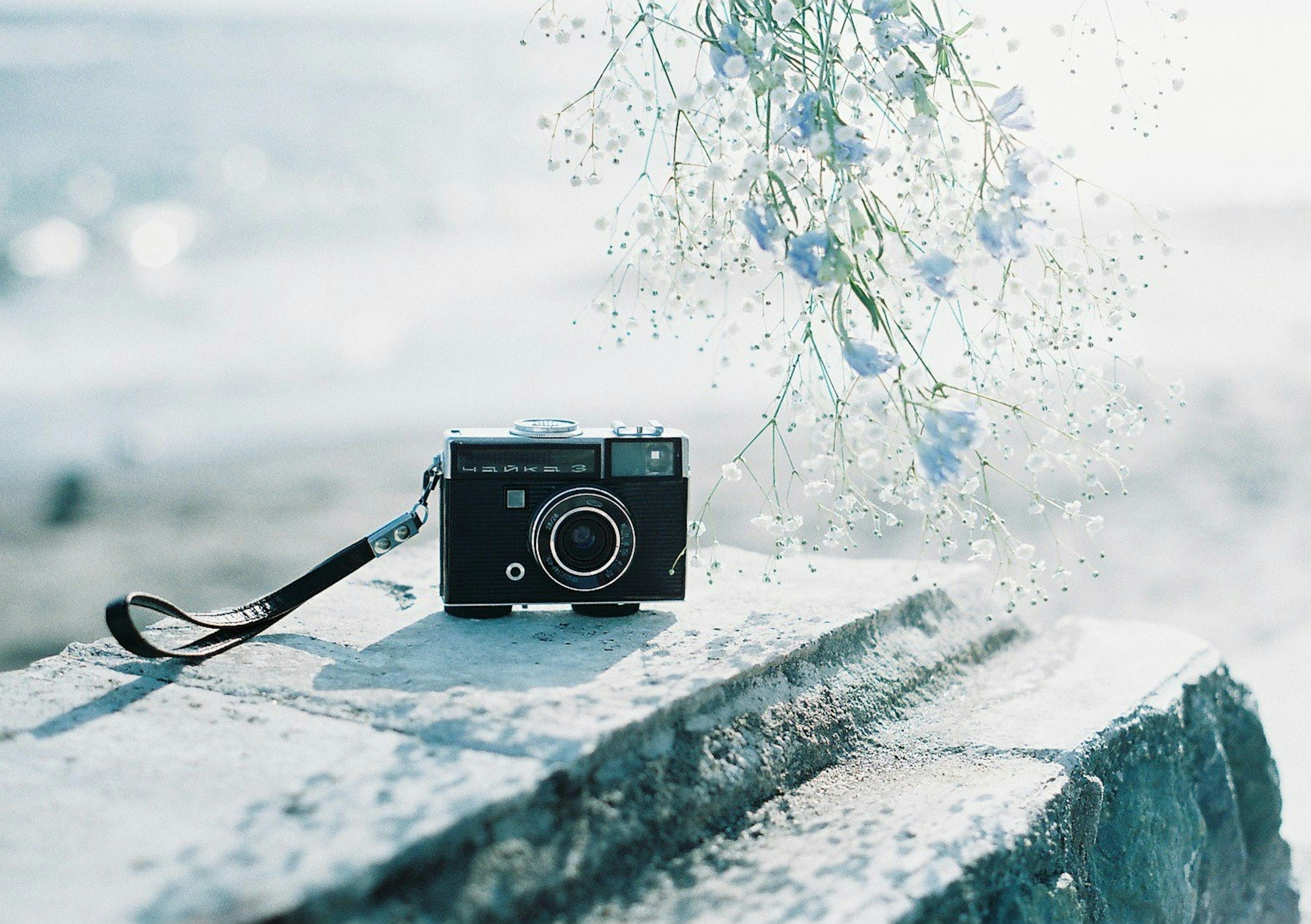 Una macchina fotografica con fiori blu sullo sfondo