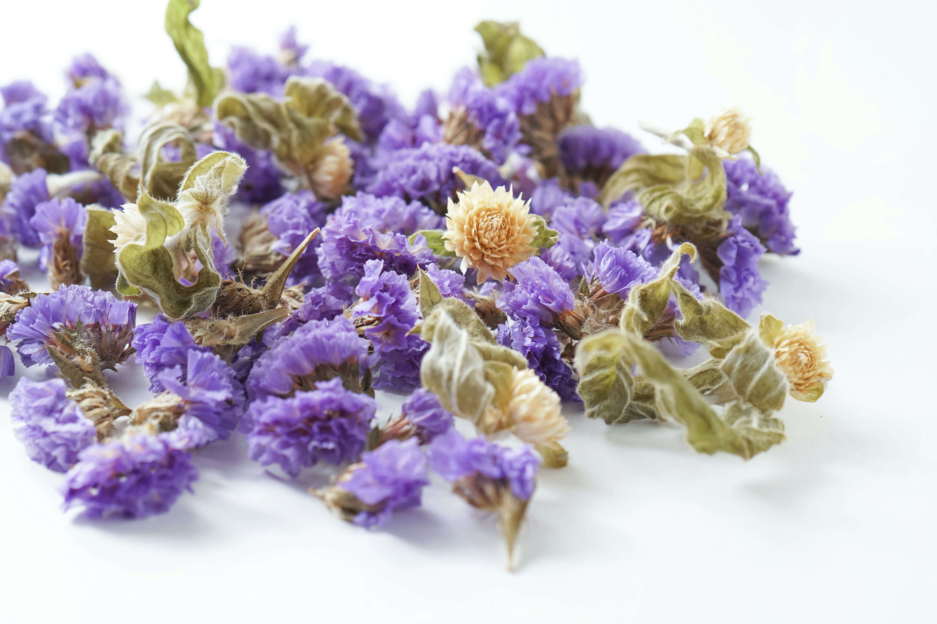 Beautiful arrangement of dried purple flowers with green leaves