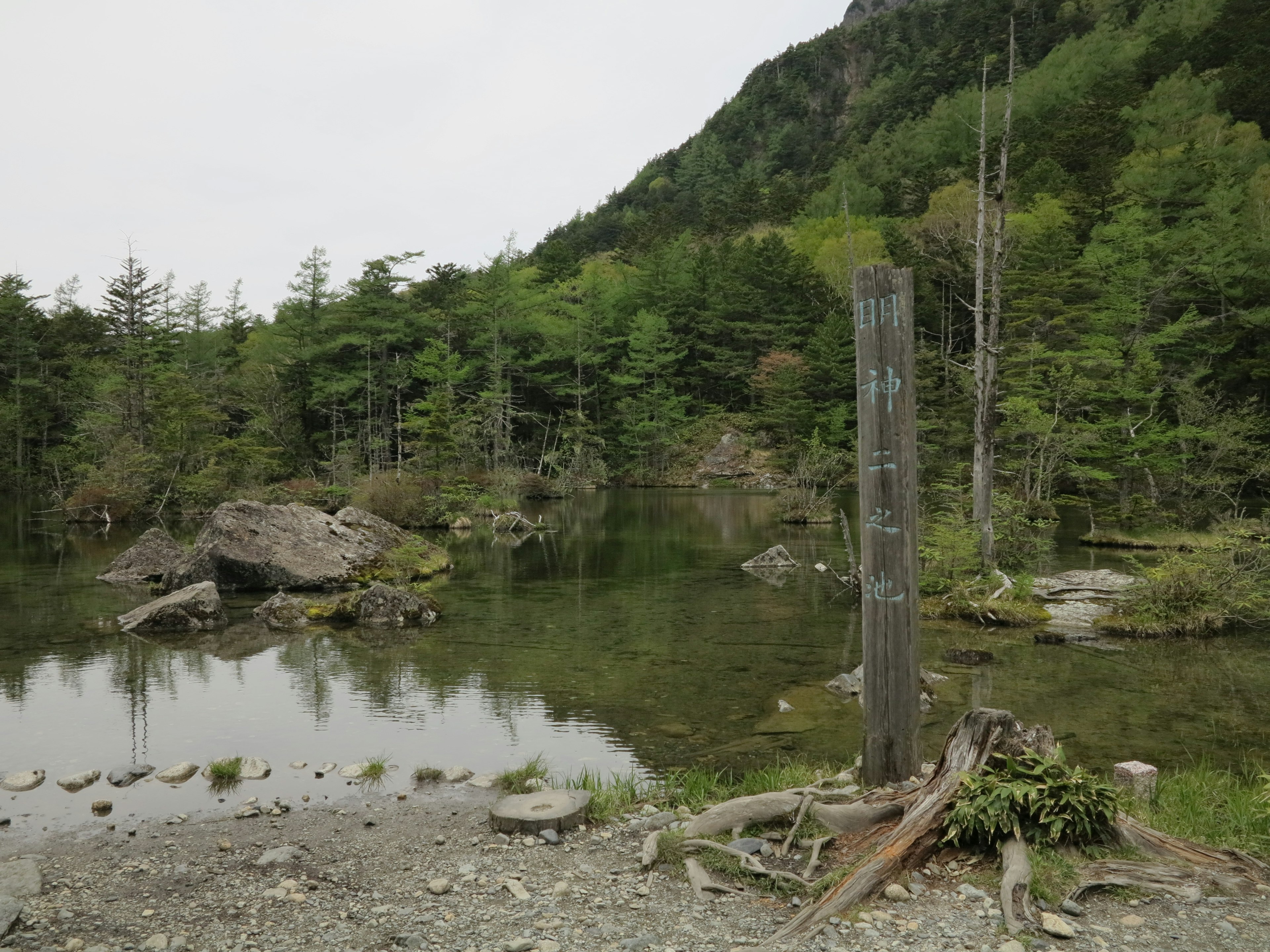 Lac serein entouré d'arbres verts avec un vieux poteau debout