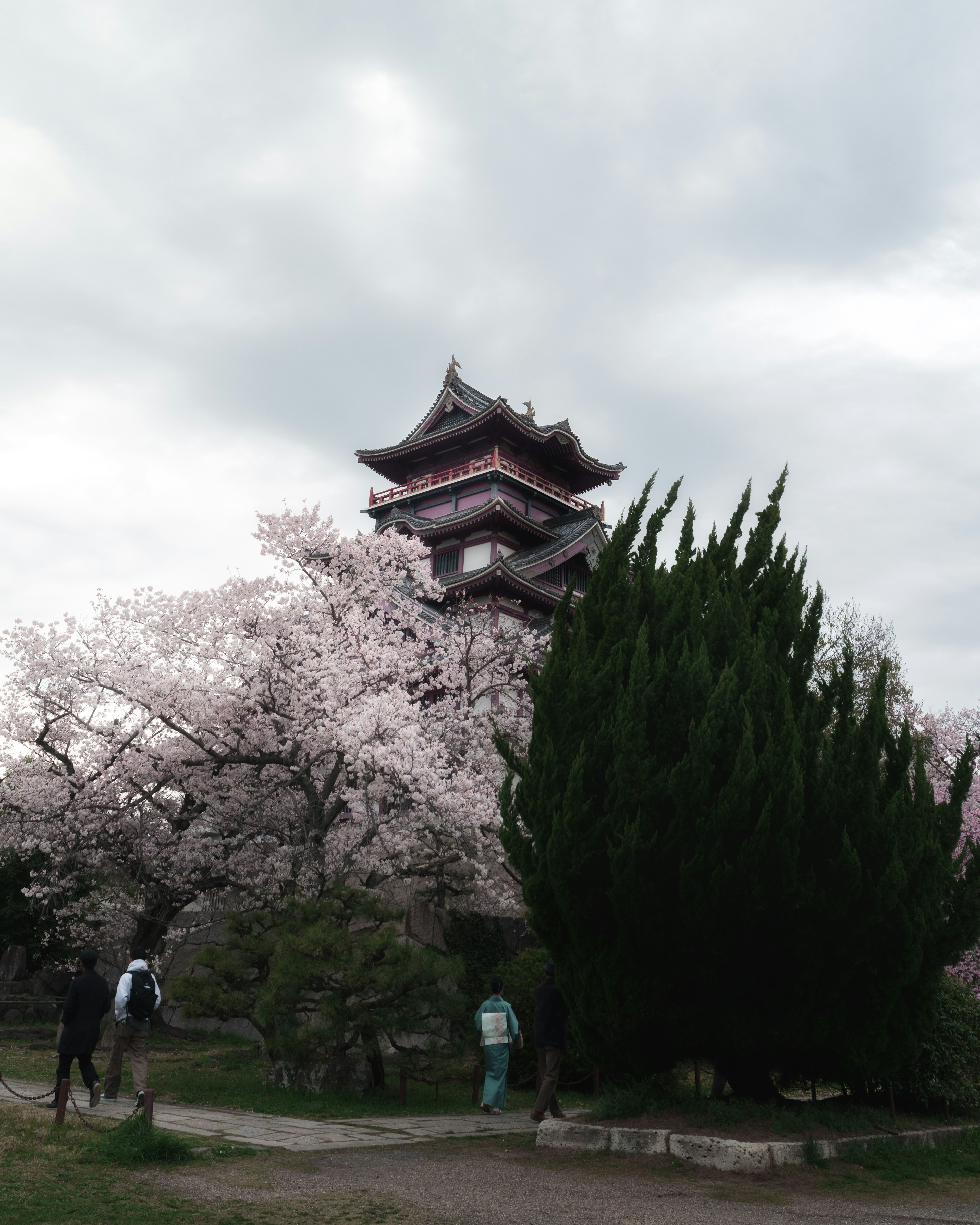 Pemandangan dengan pohon sakura dan menara kastil