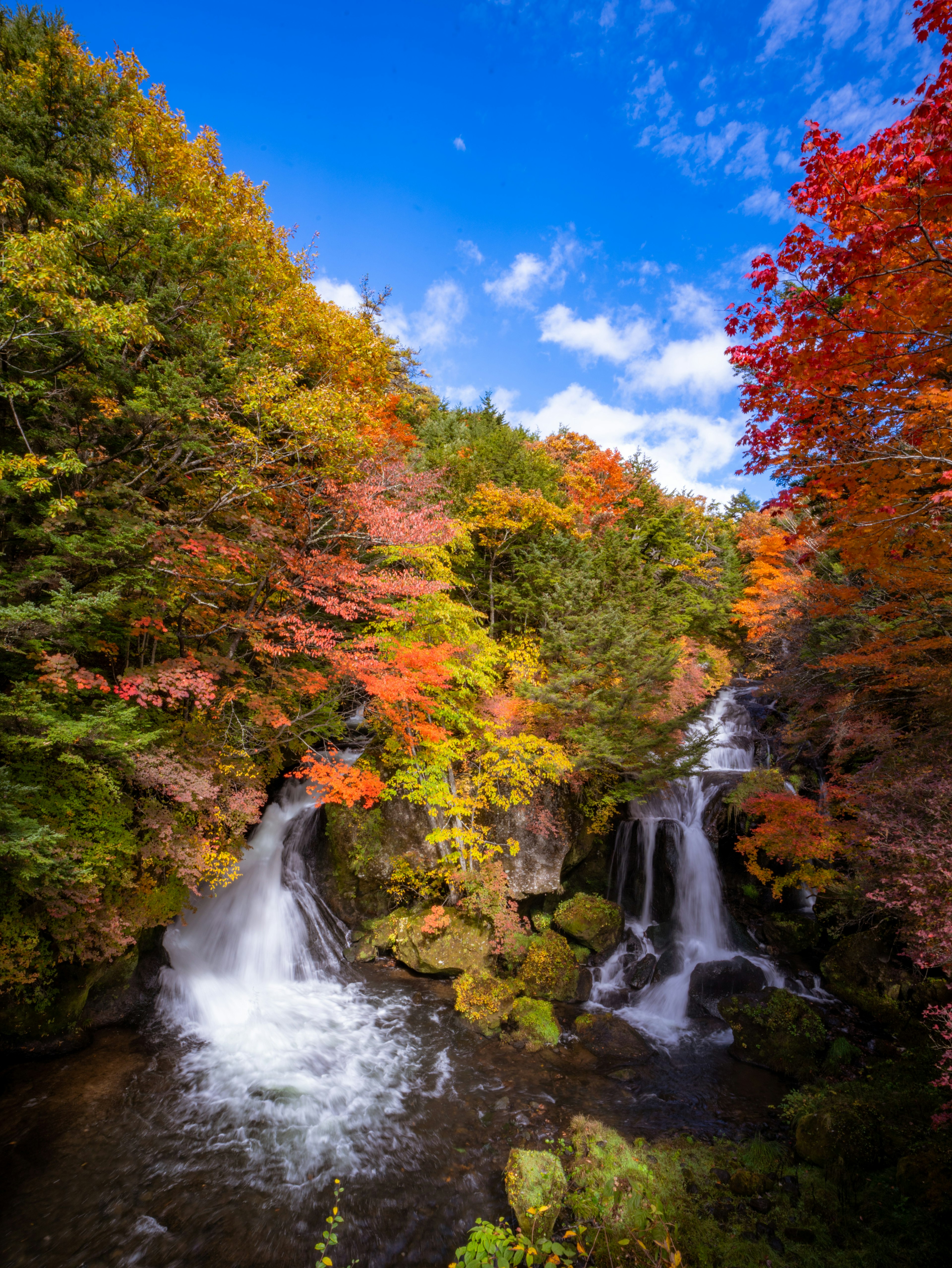 Malersiche Aussicht auf Wasserfälle umgeben von Herbstlaub