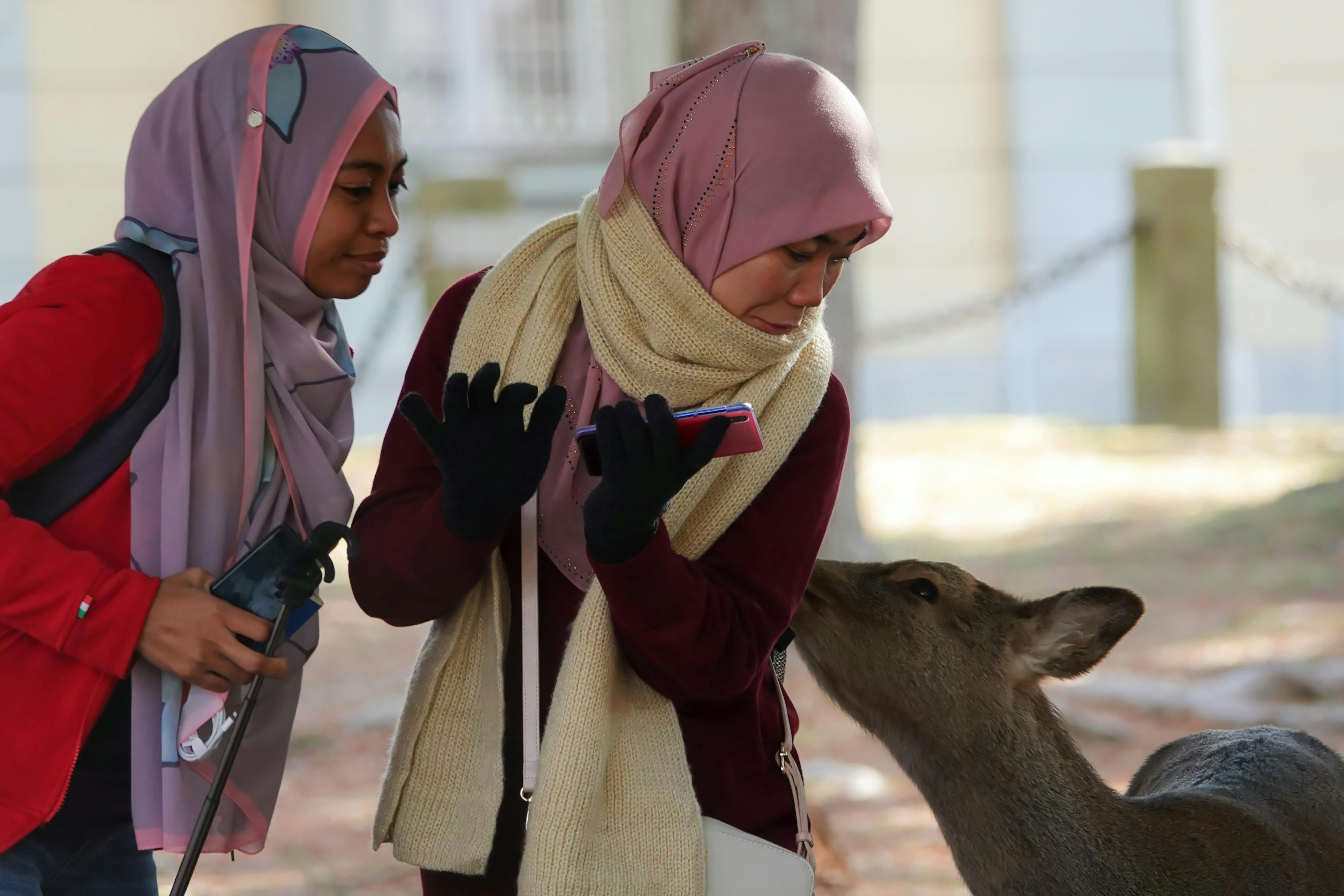 Two women interacting with a deer while looking surprised