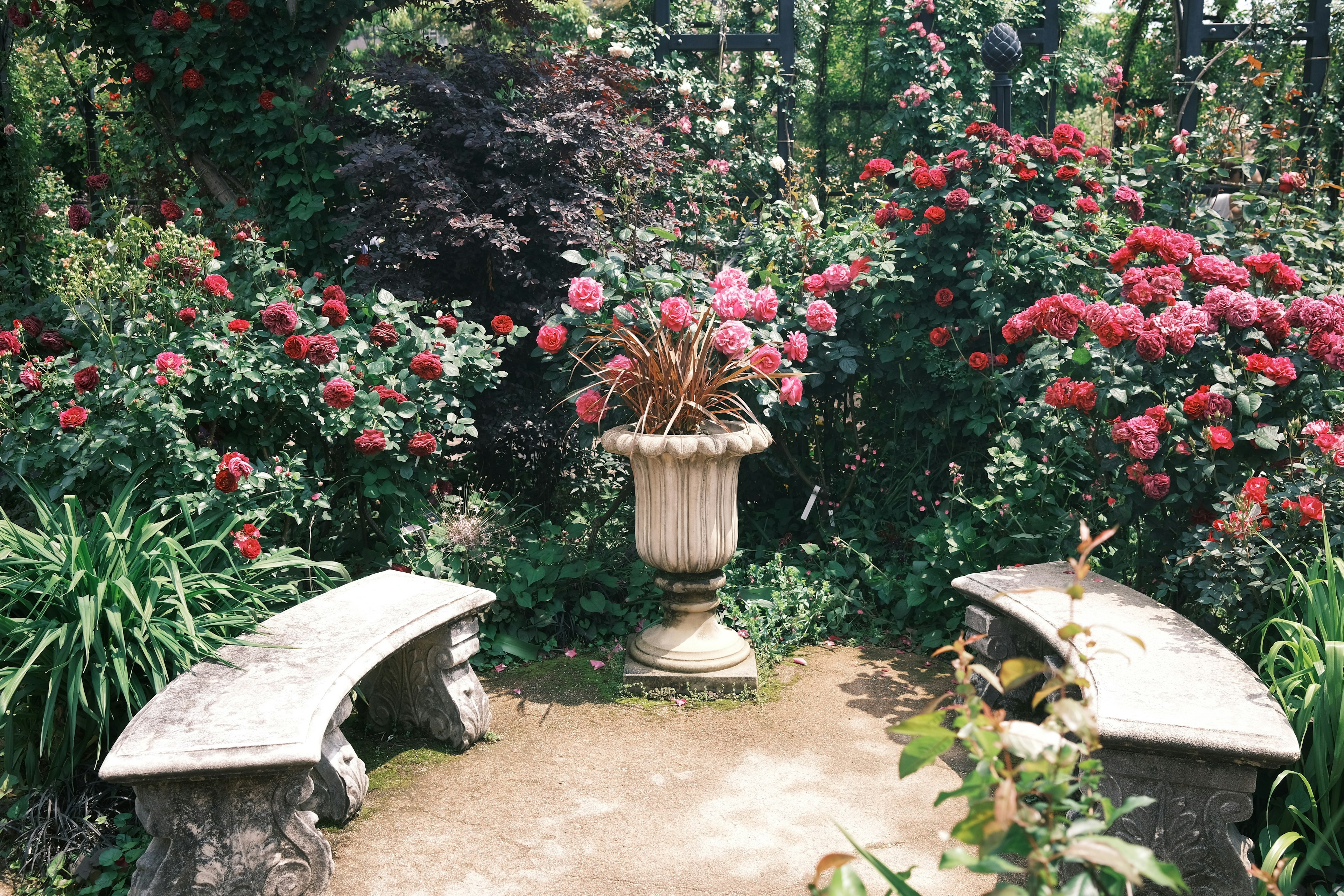 花々に囲まれた静かな庭の一角にある石のベンチと花瓶