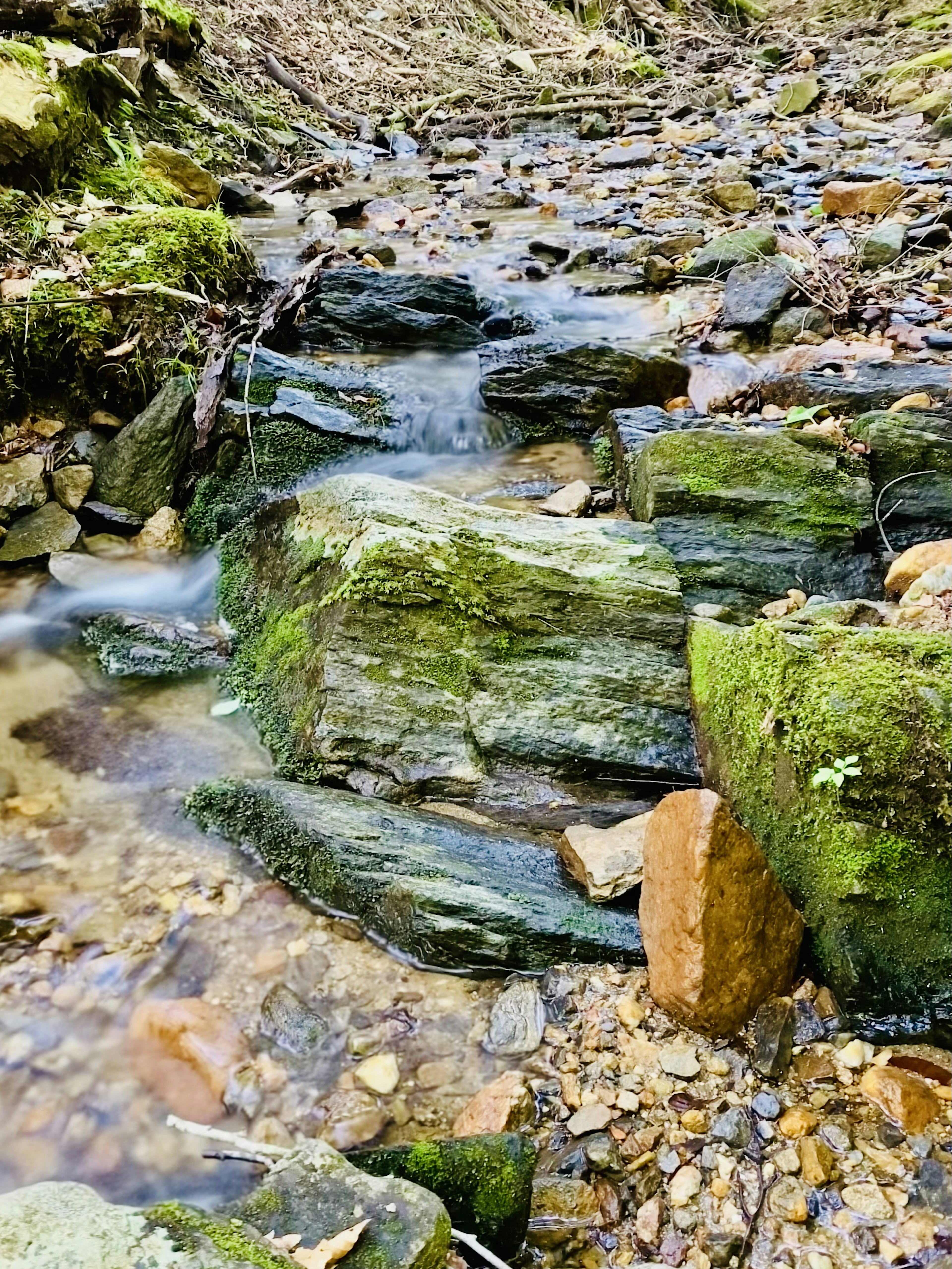 Natural scene of a stream flowing over moss-covered rocks