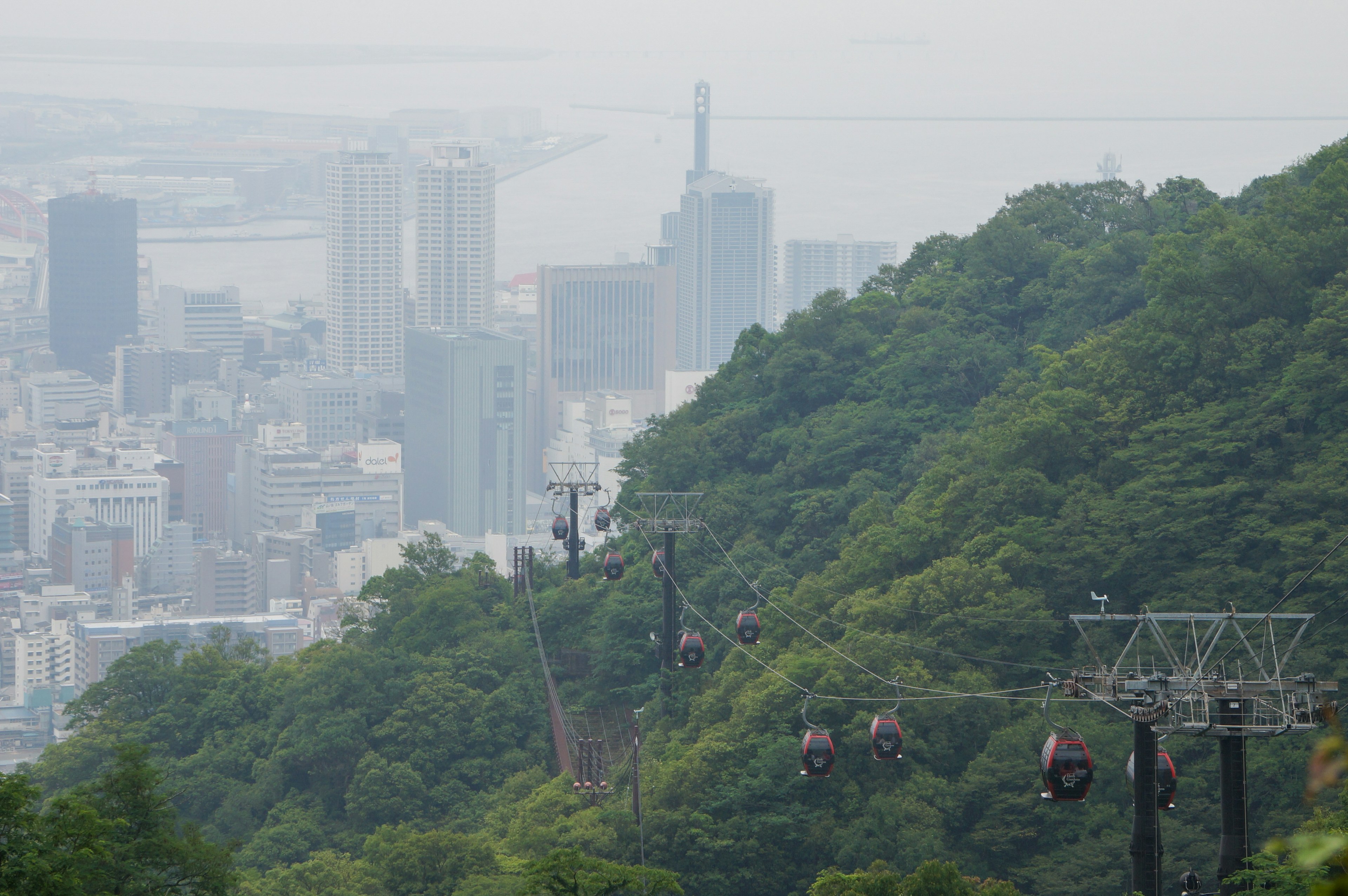 緑豊かな山と都市の景観を示す画像で、ケーブルカーの線と遠くに見える高層ビルが特徴的