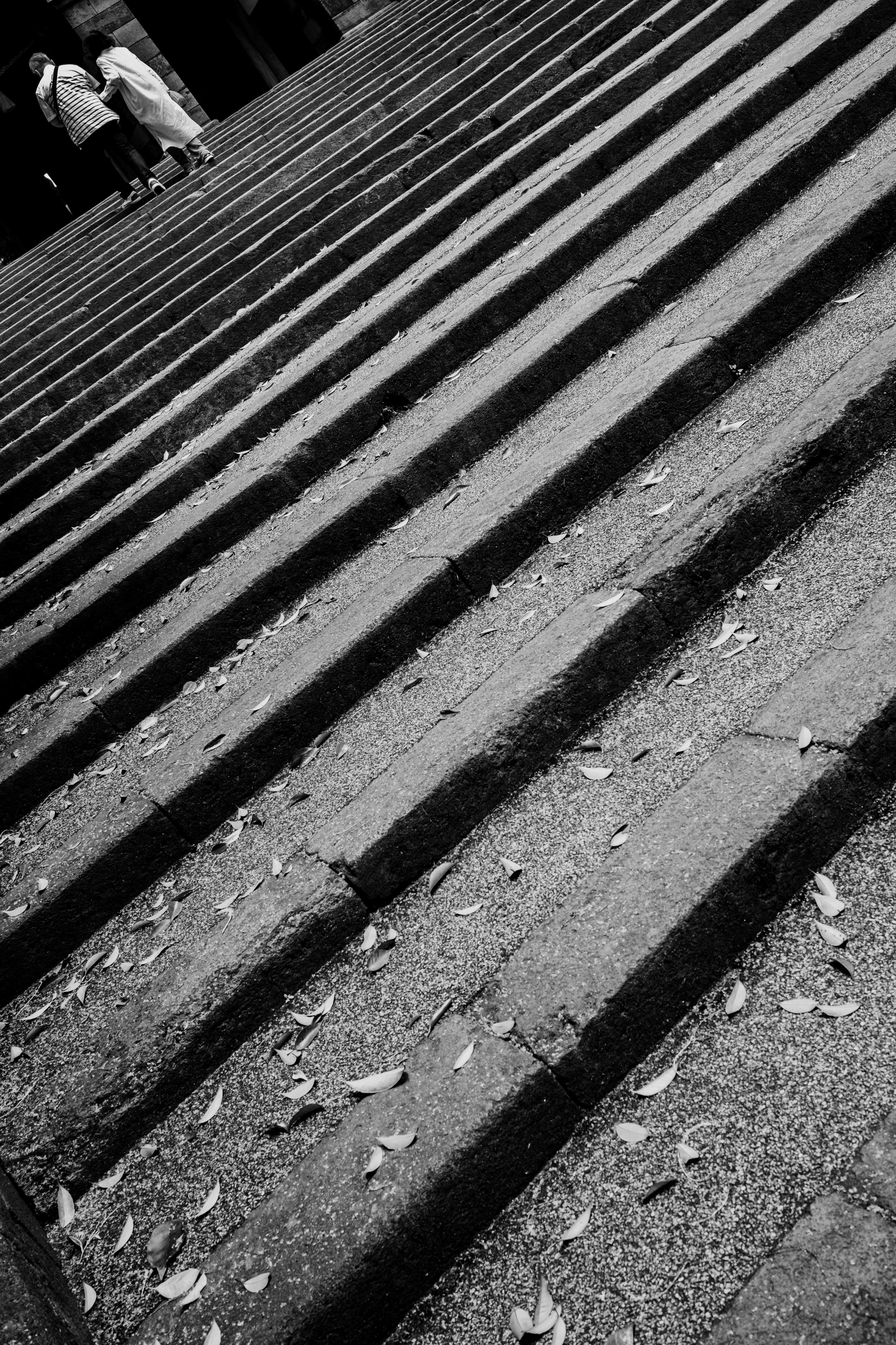 Black and white image of sloped steps with scattered leaves