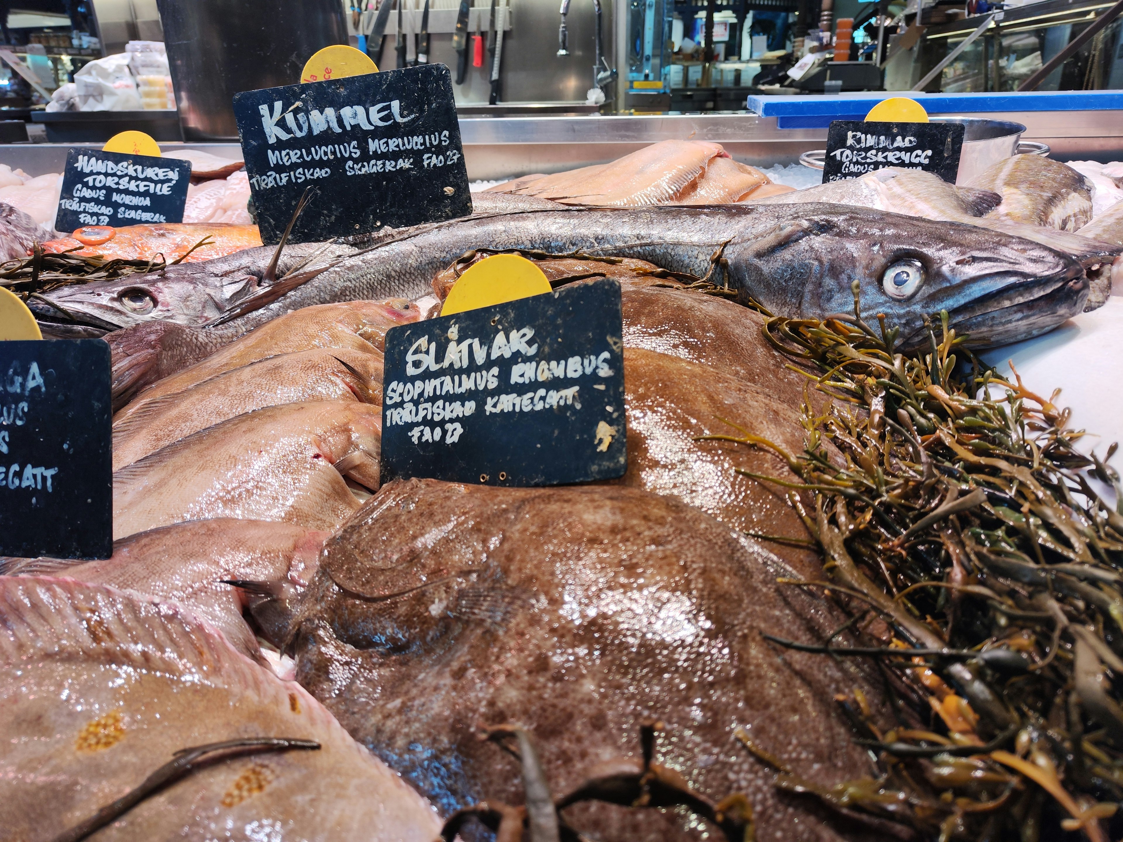 Pescado fresco exhibido en un mercado con etiquetas negras que indican los nombres de los peces