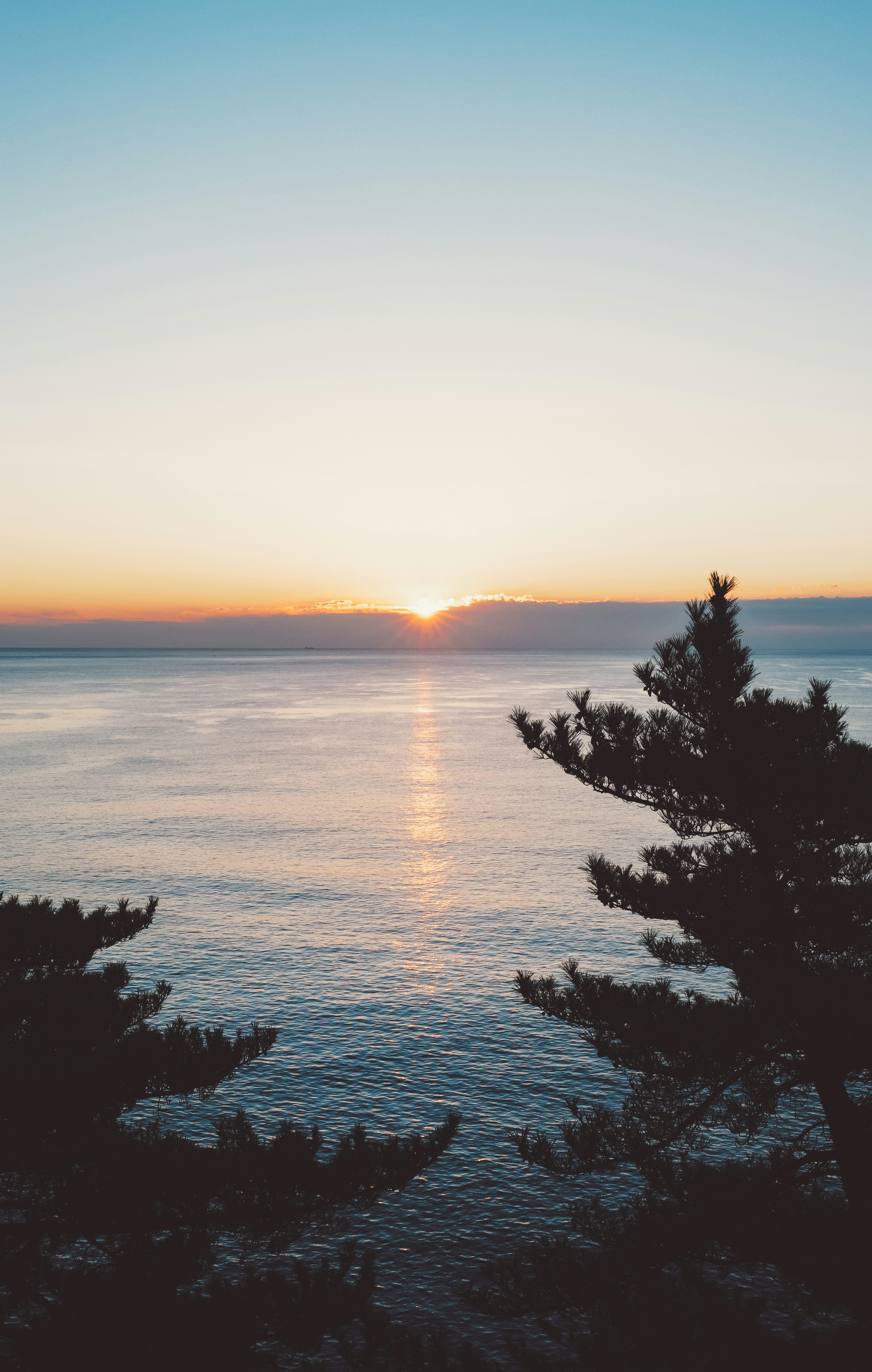 海と木々のシルエットを背景にした美しい夕日