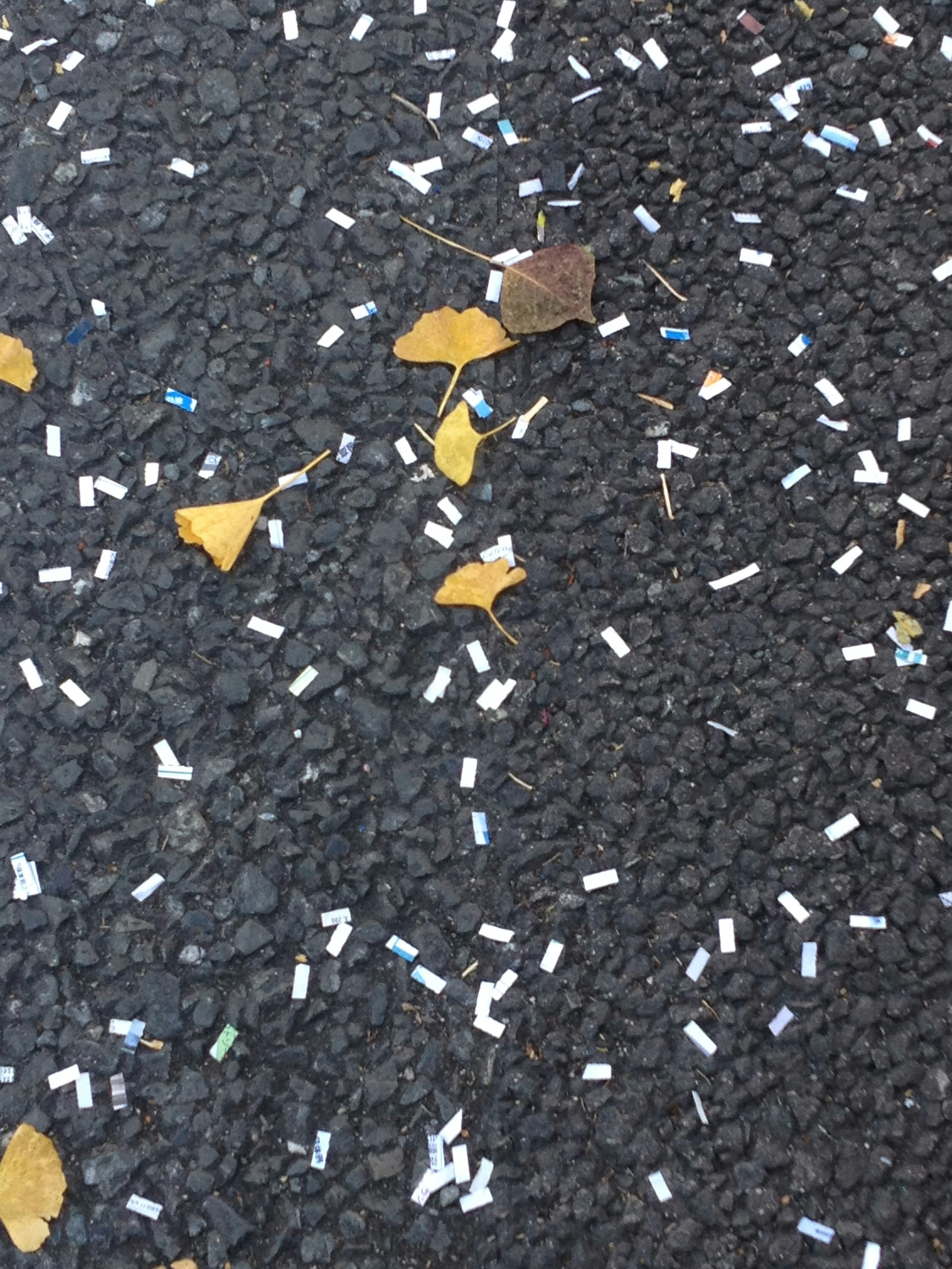 Petites particules blanches et bleues éparpillées sur un pavé noir avec des feuilles jaunes