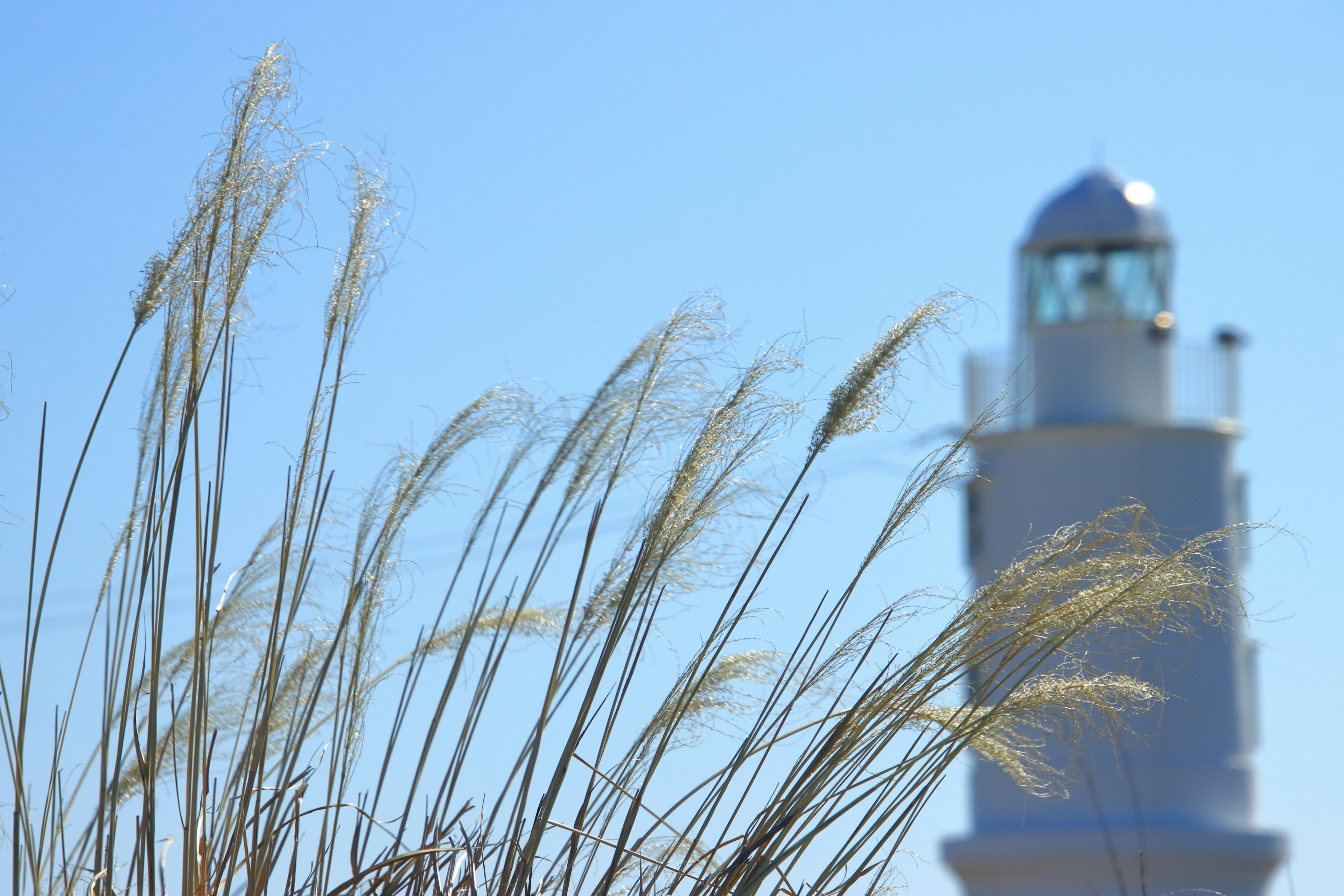 Faro contra un cielo azul con hierba en primer plano