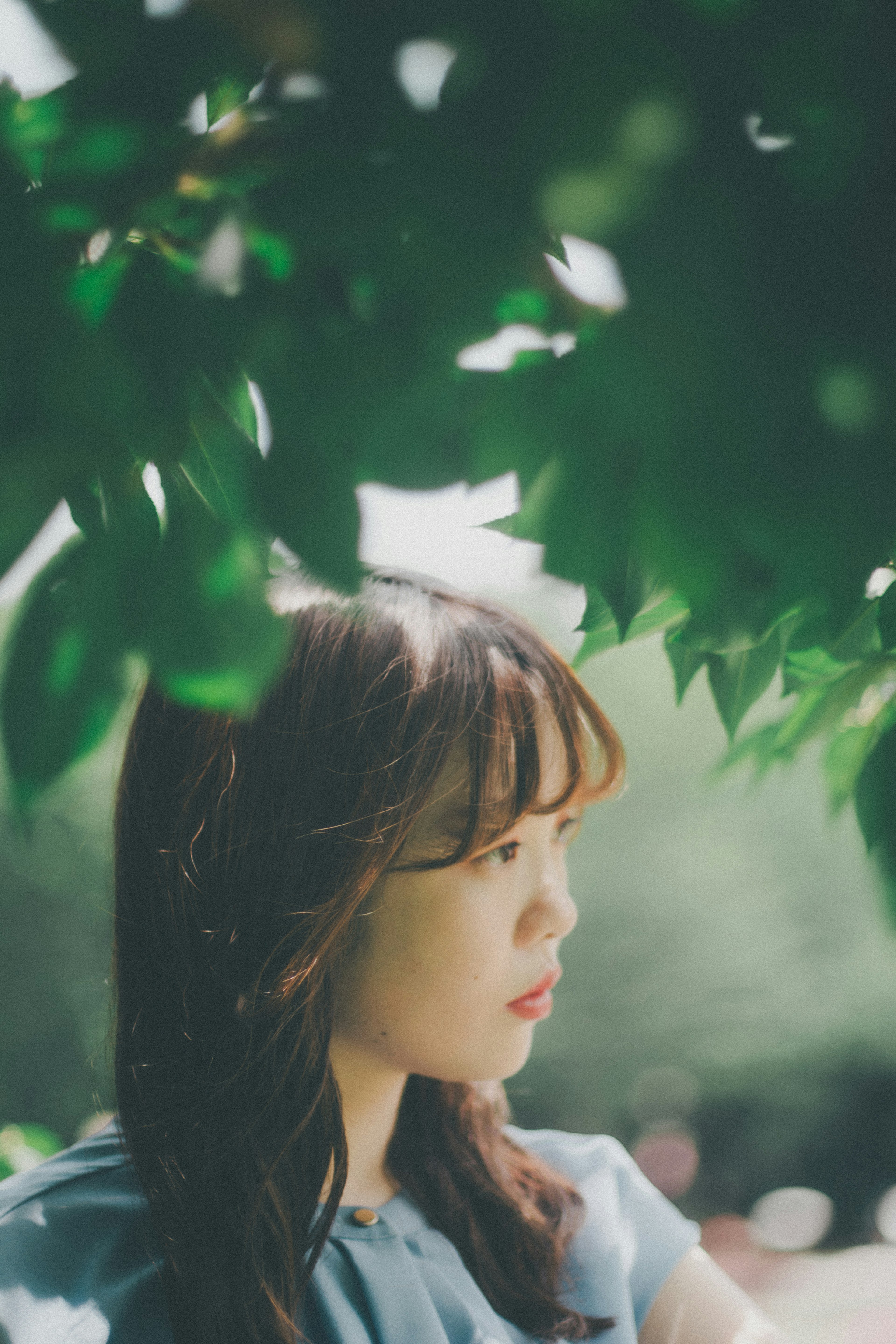 Profil d'une femme partiellement visible à travers des feuilles vertes avec une lumière douce