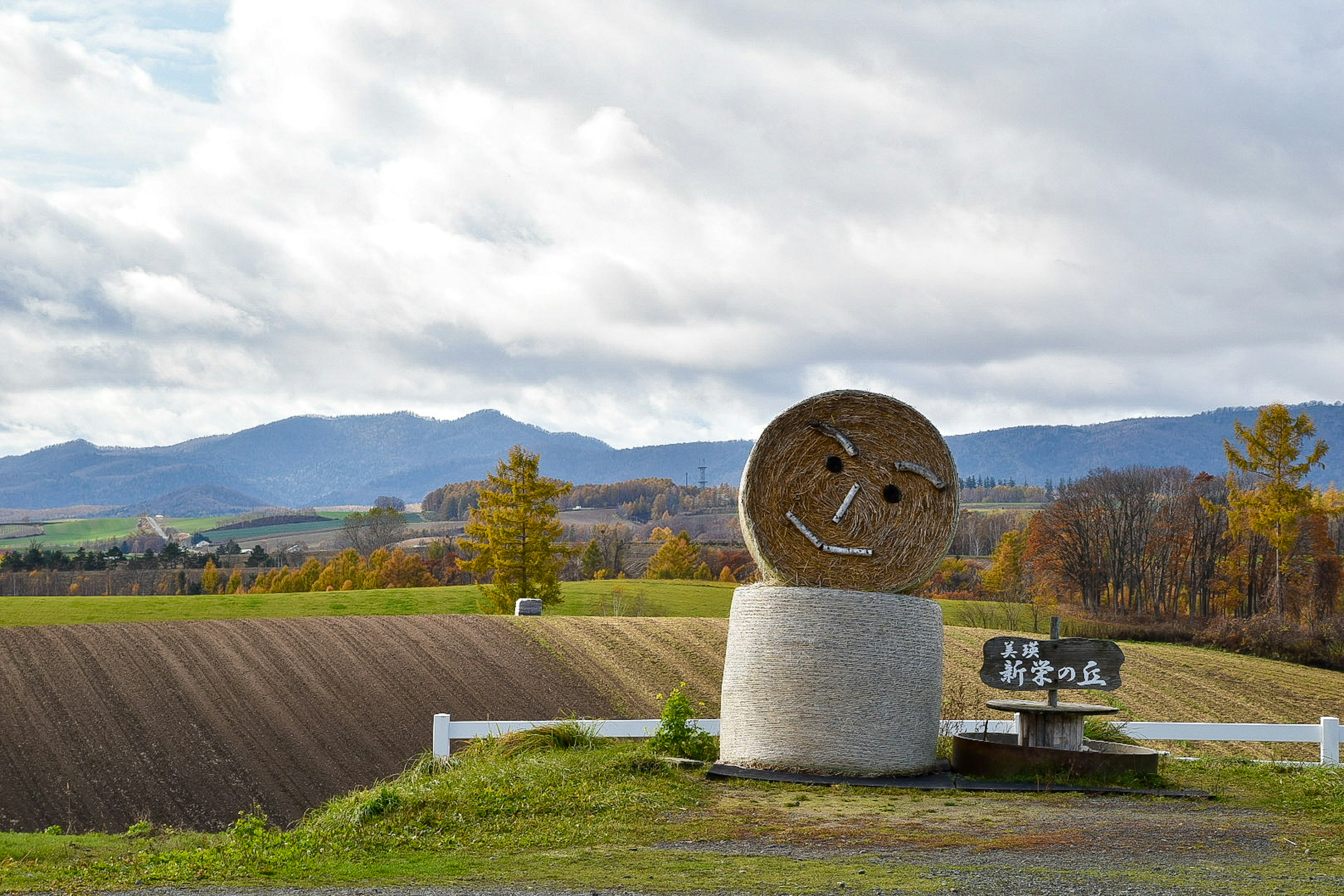 Monumento de piedra con una cara sonriente en un hermoso paisaje con campos y montañas