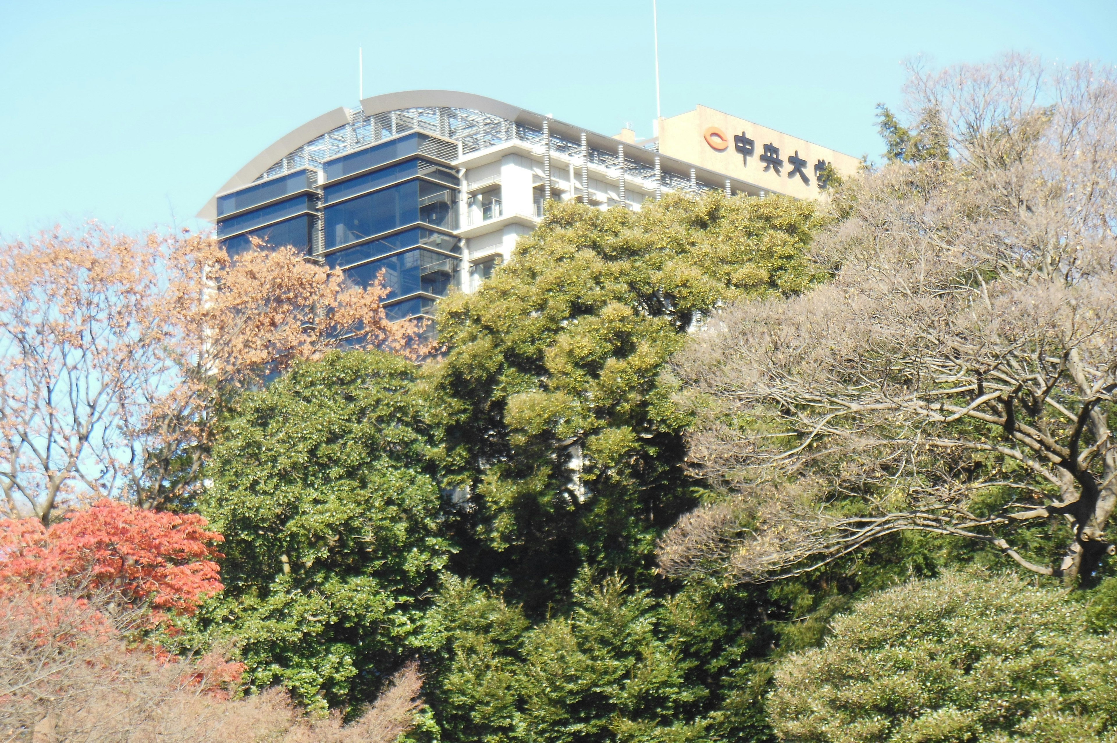 View of a high-rise building partially obscured by lush greenery