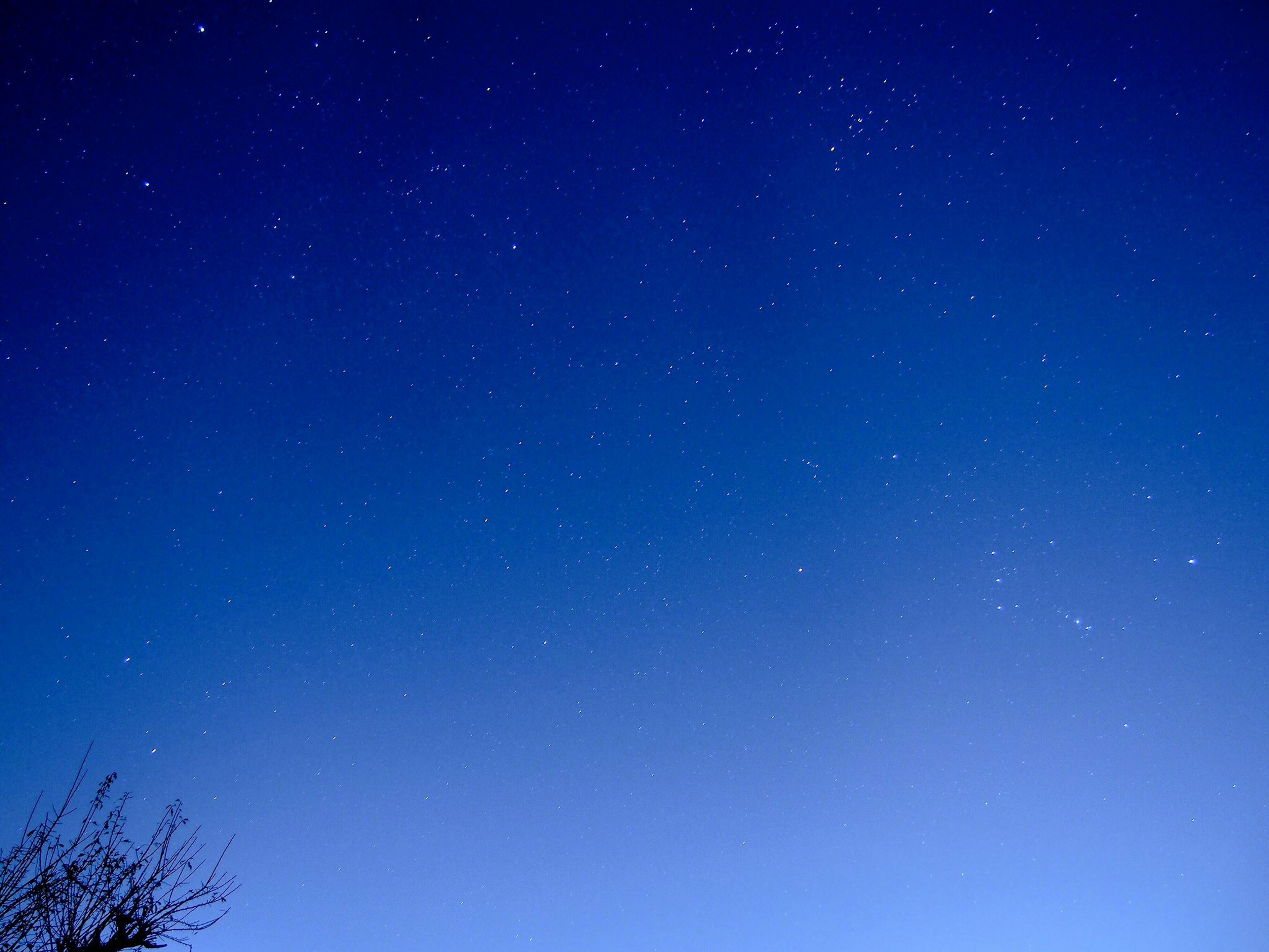 Un beau ciel nocturne rempli d'étoiles brillantes