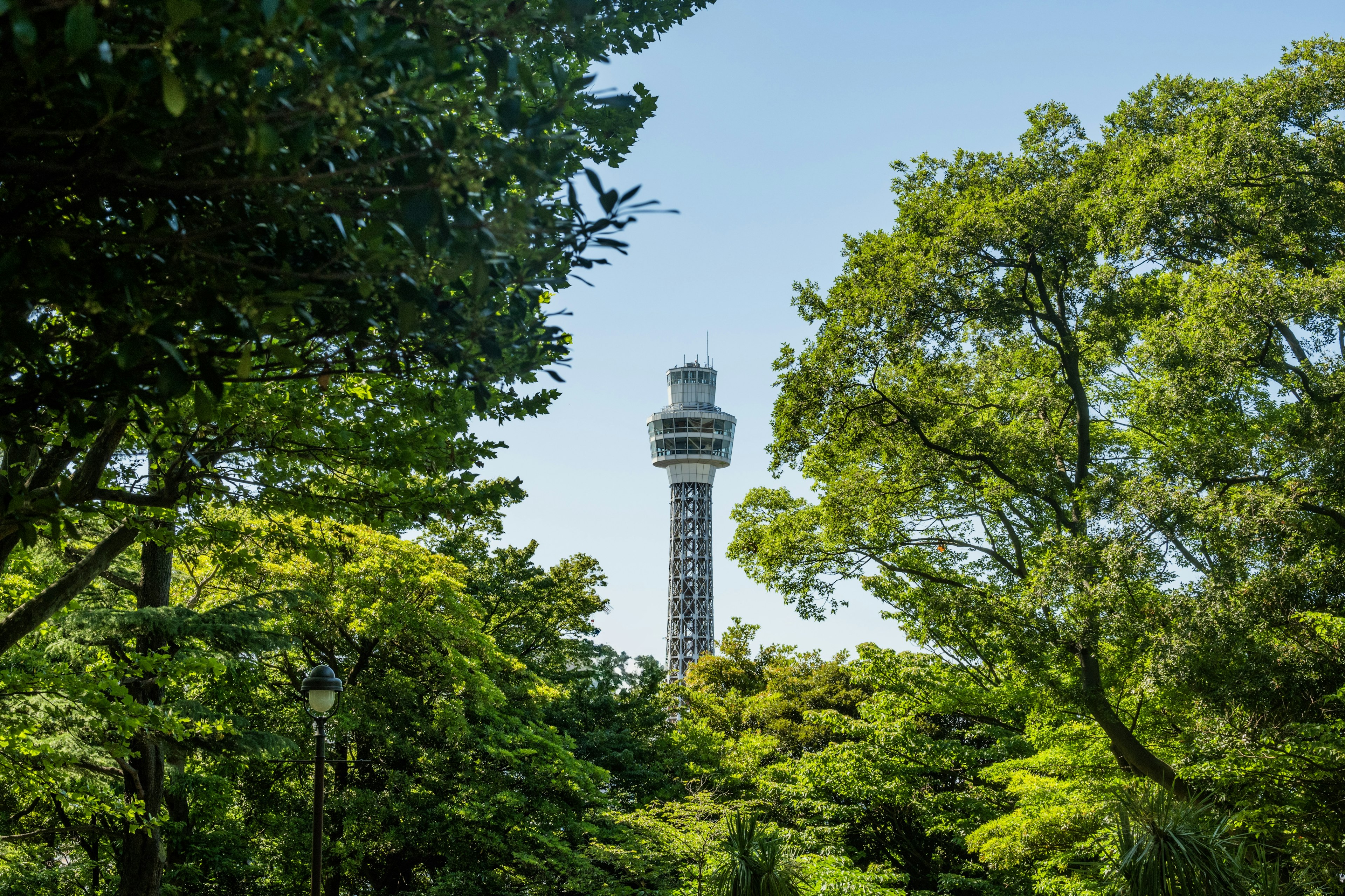 緑豊かな木々の間から見えるタワーの風景