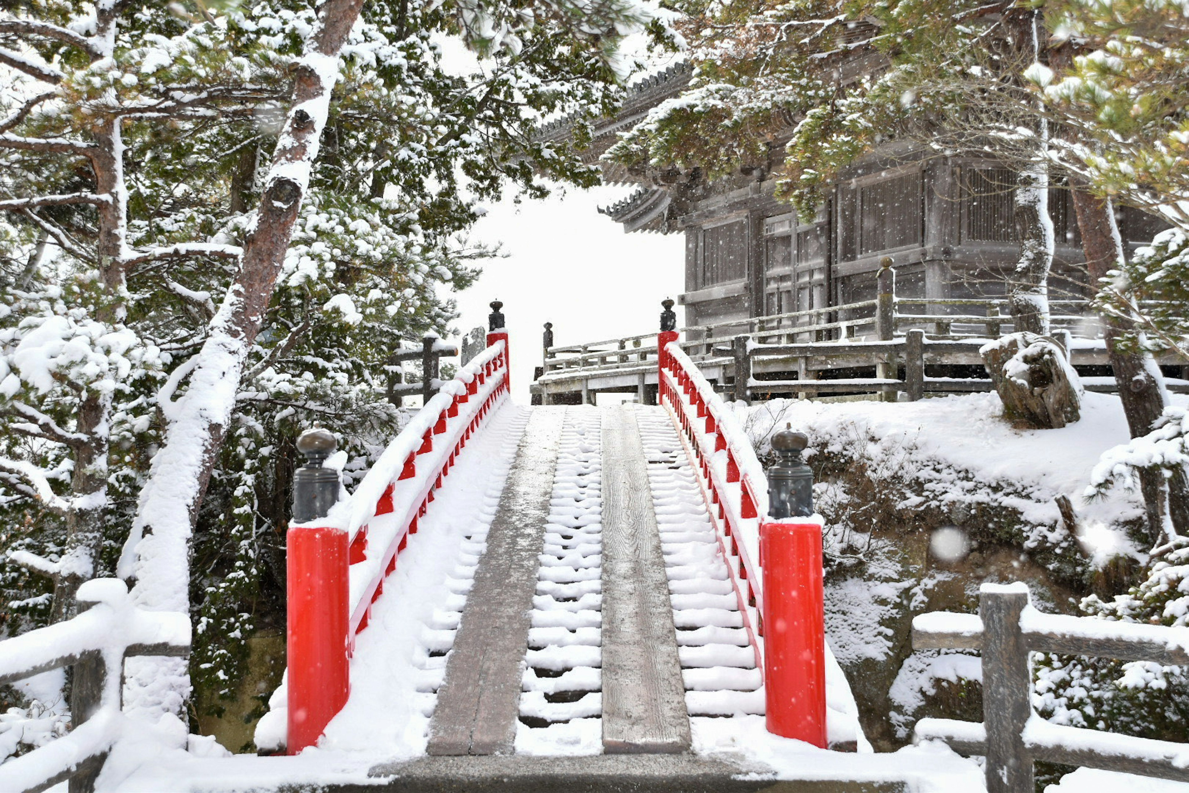 雪に覆われた赤い橋と周囲の木々の美しい風景