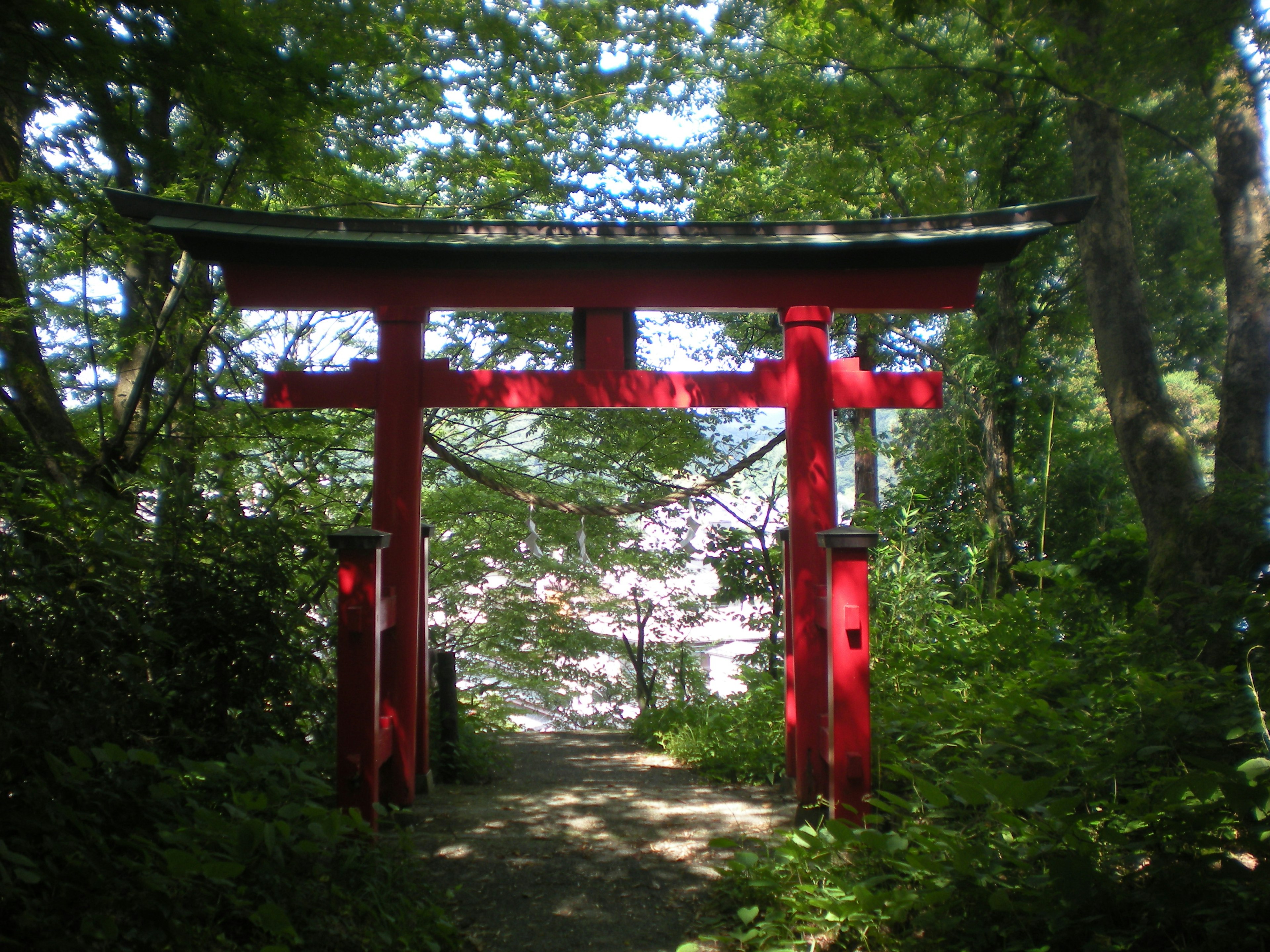 Puerta torii roja rodeada de árboles verdes