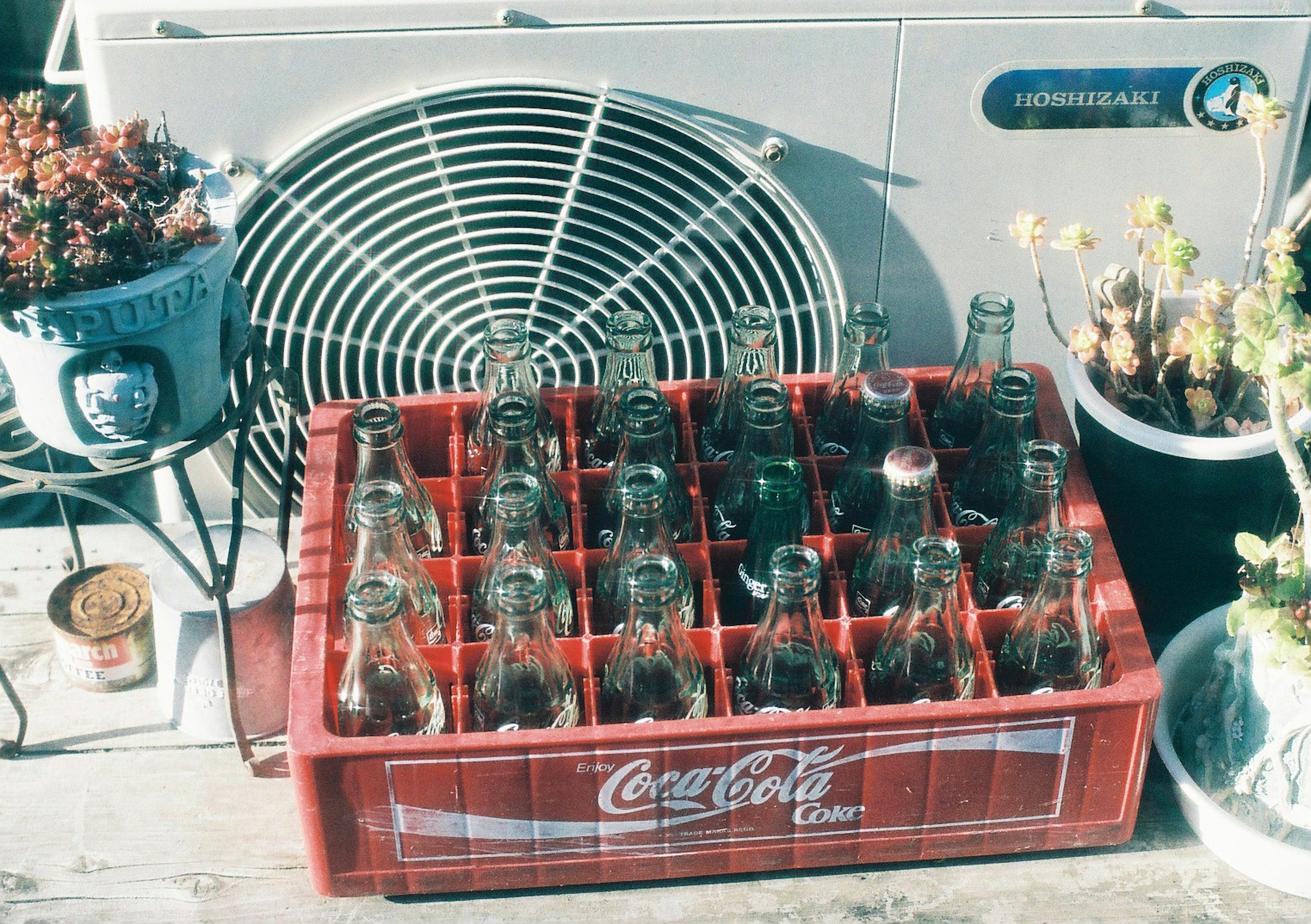 Une caisse rouge de Coca-Cola remplie de bouteilles en verre et des plantes en pot dans un cadre vintage