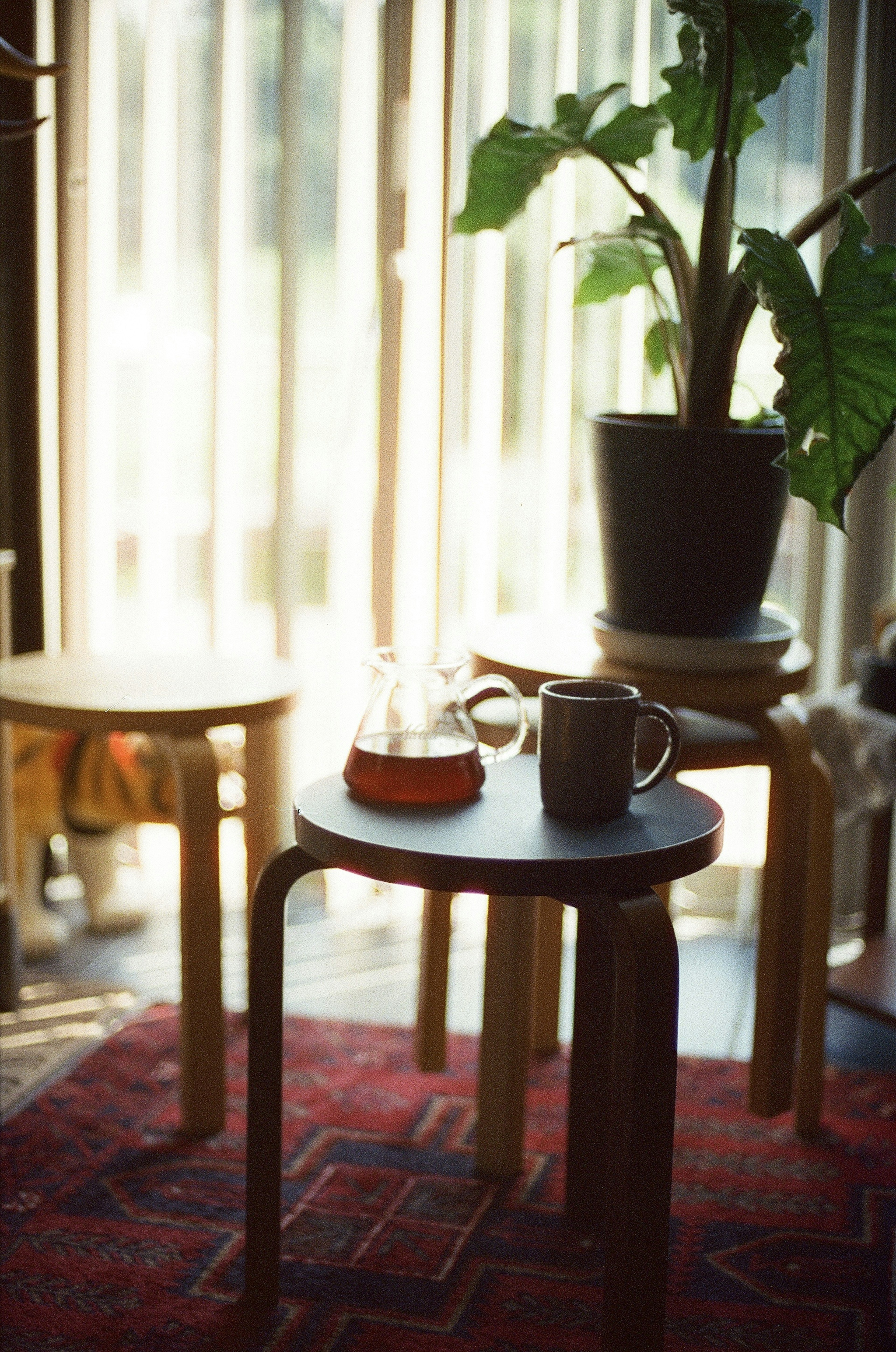 A cozy indoor scene featuring a coffee cup and teapot on a table with a plant nearby