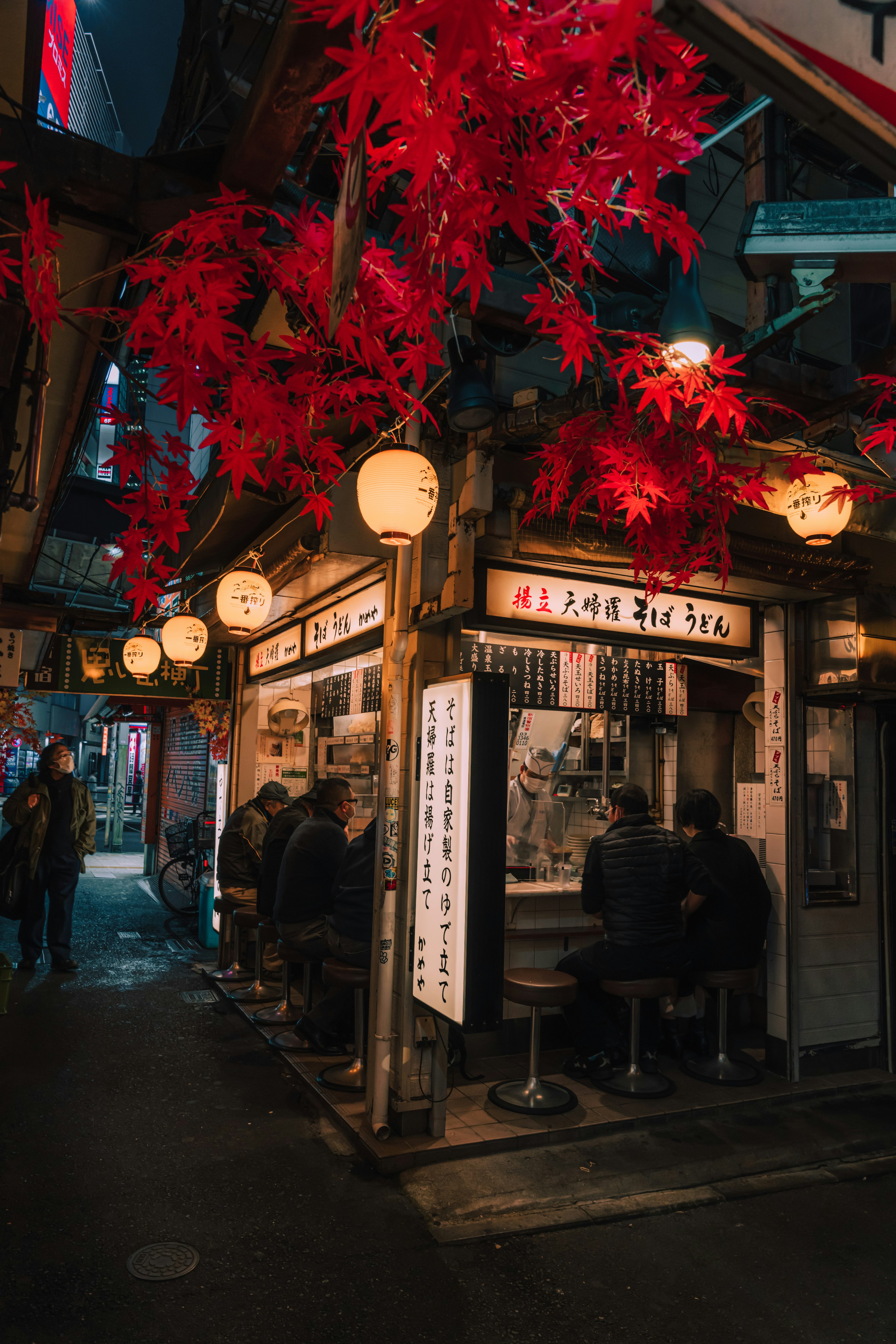 赤い葉が飾られた居酒屋の外観と夜の街並み