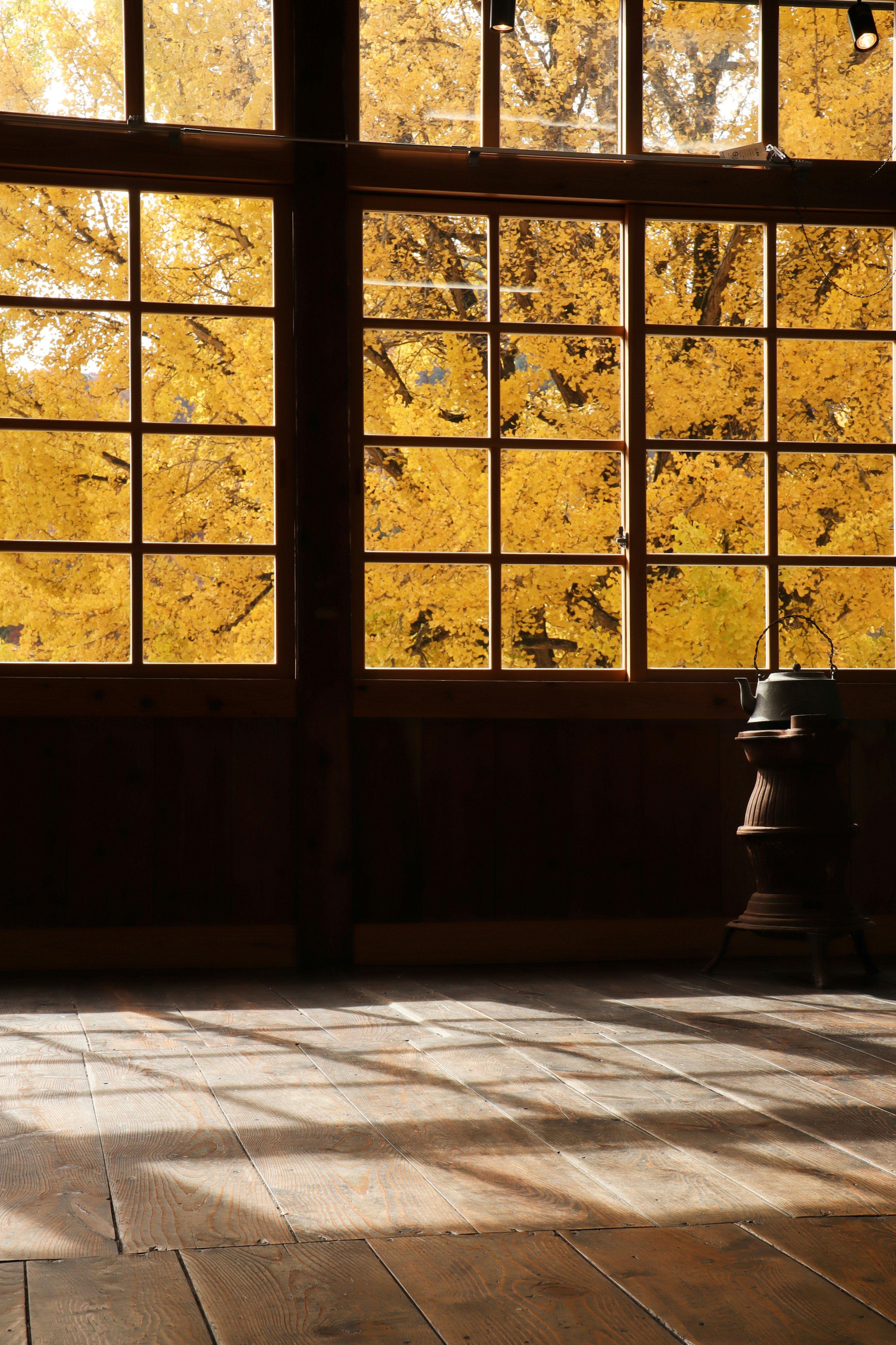 Habitación con suelo de madera y gran ventana que muestra hojas amarillas de otoño