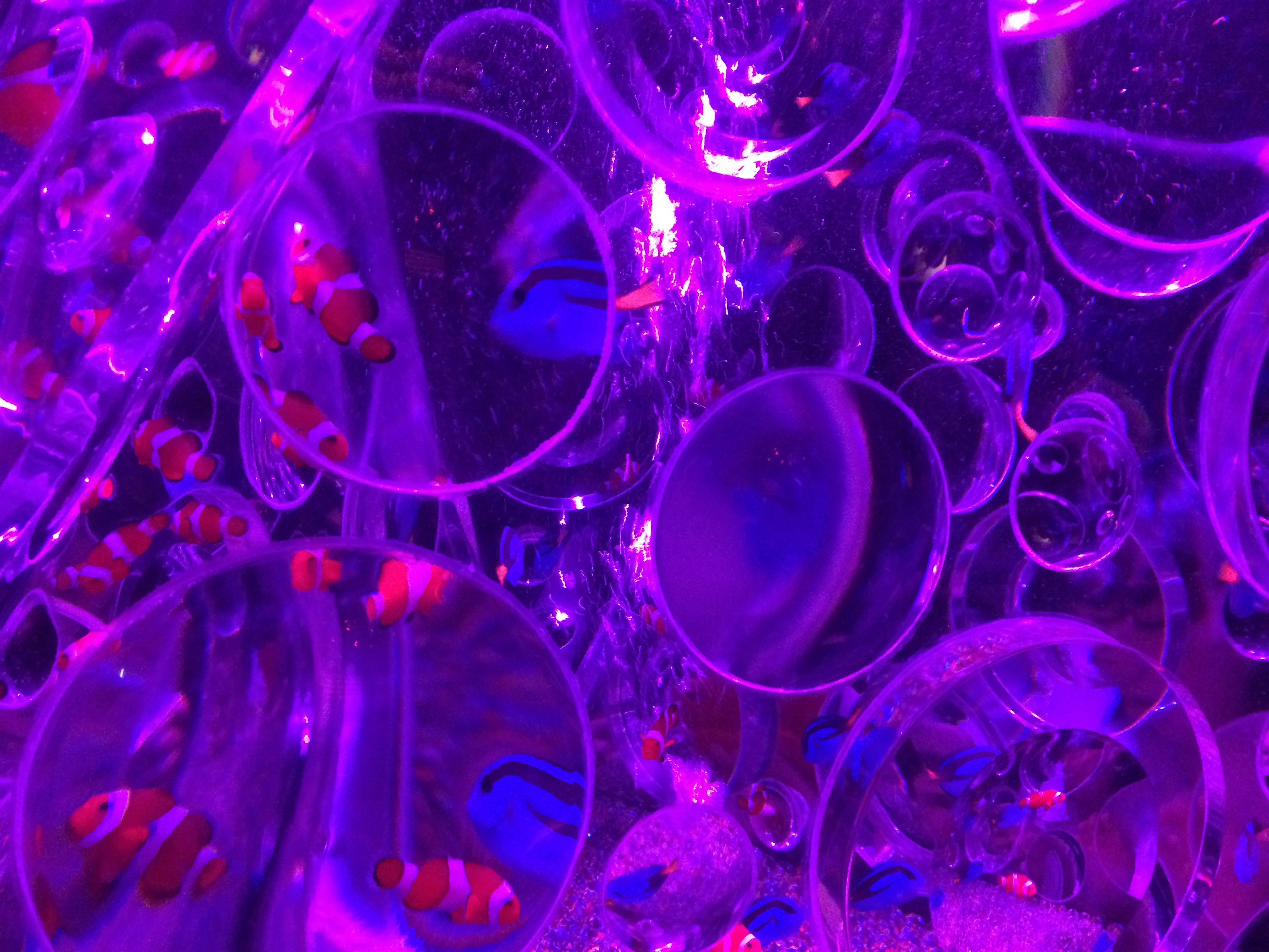 Bubbles in water illuminated by purple light with small fish swimming