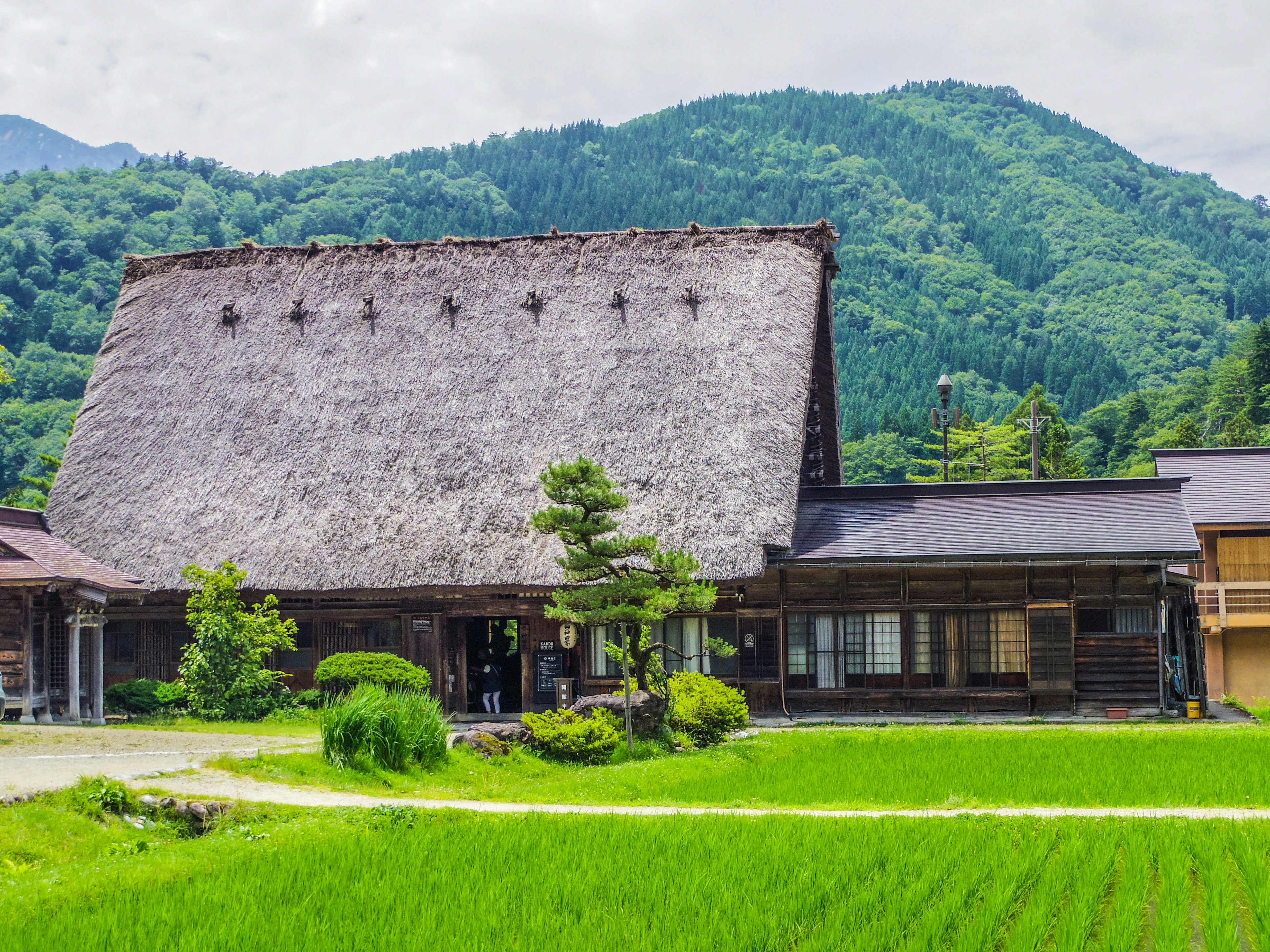 Maison japonaise traditionnelle entourée de montagnes verdoyantes et de rizières vertes