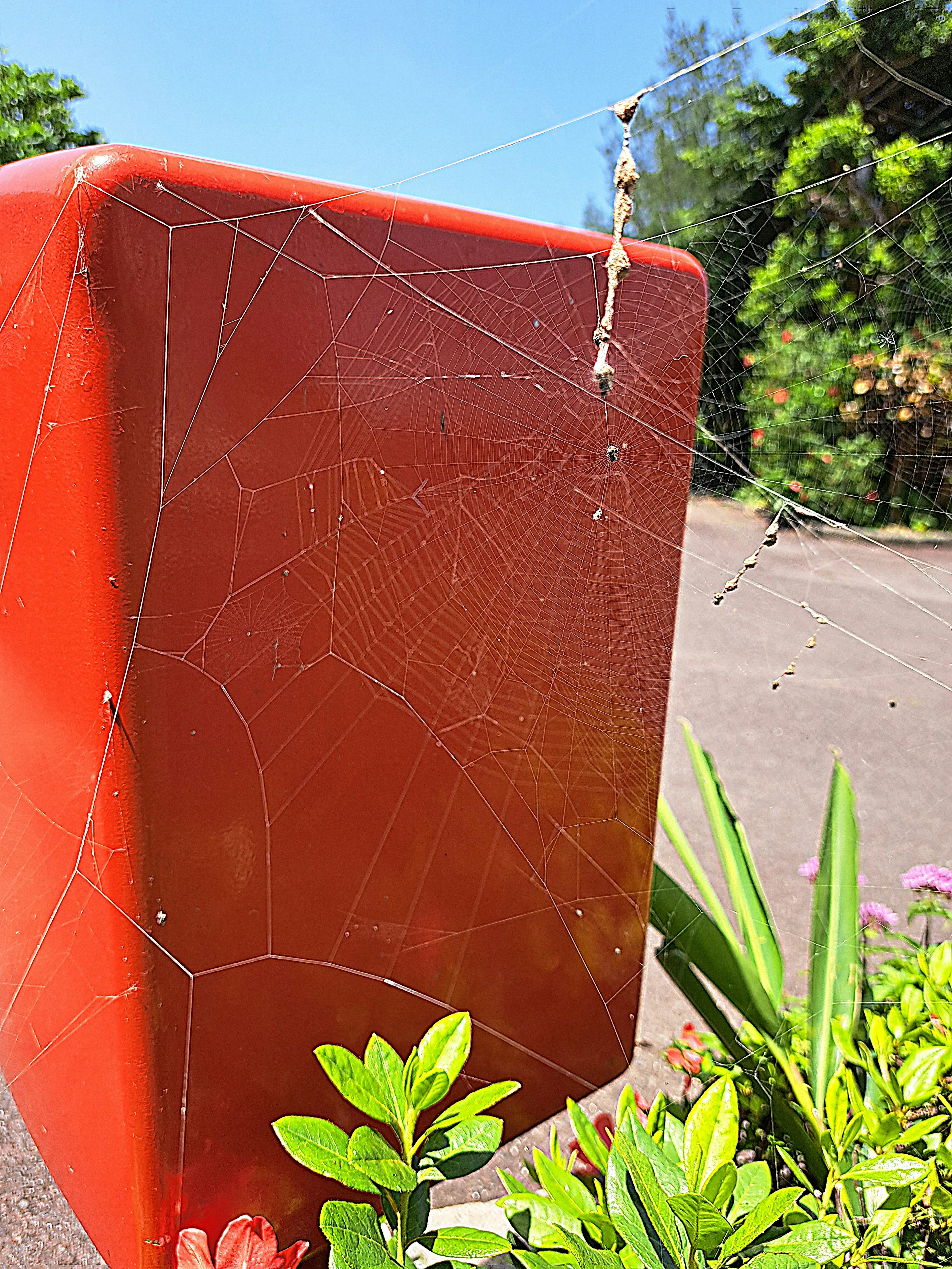 Spider web on the side of a red post with nearby green plants