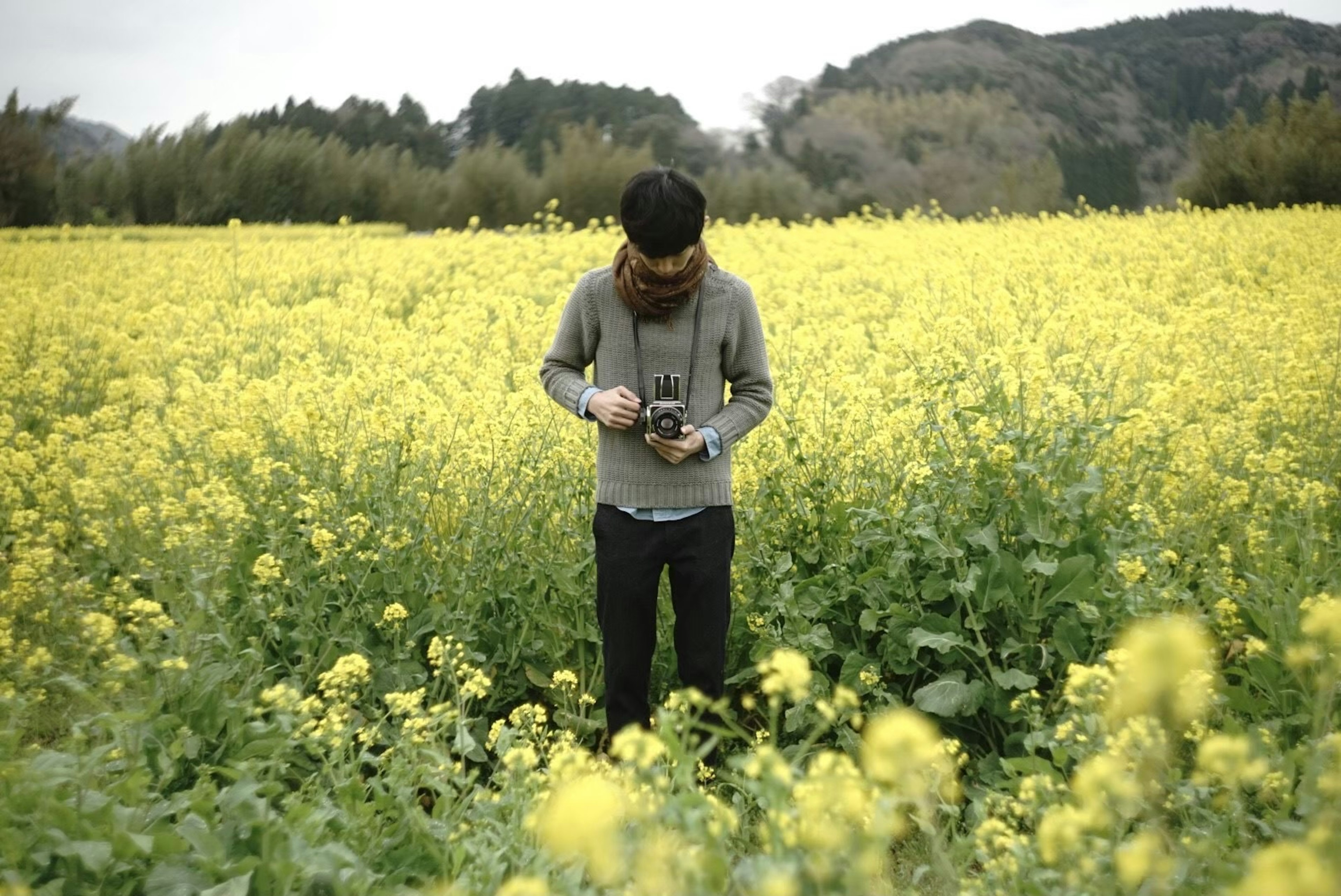 Un homme réglant un appareil photo entouré d'un champ de fleurs jaunes