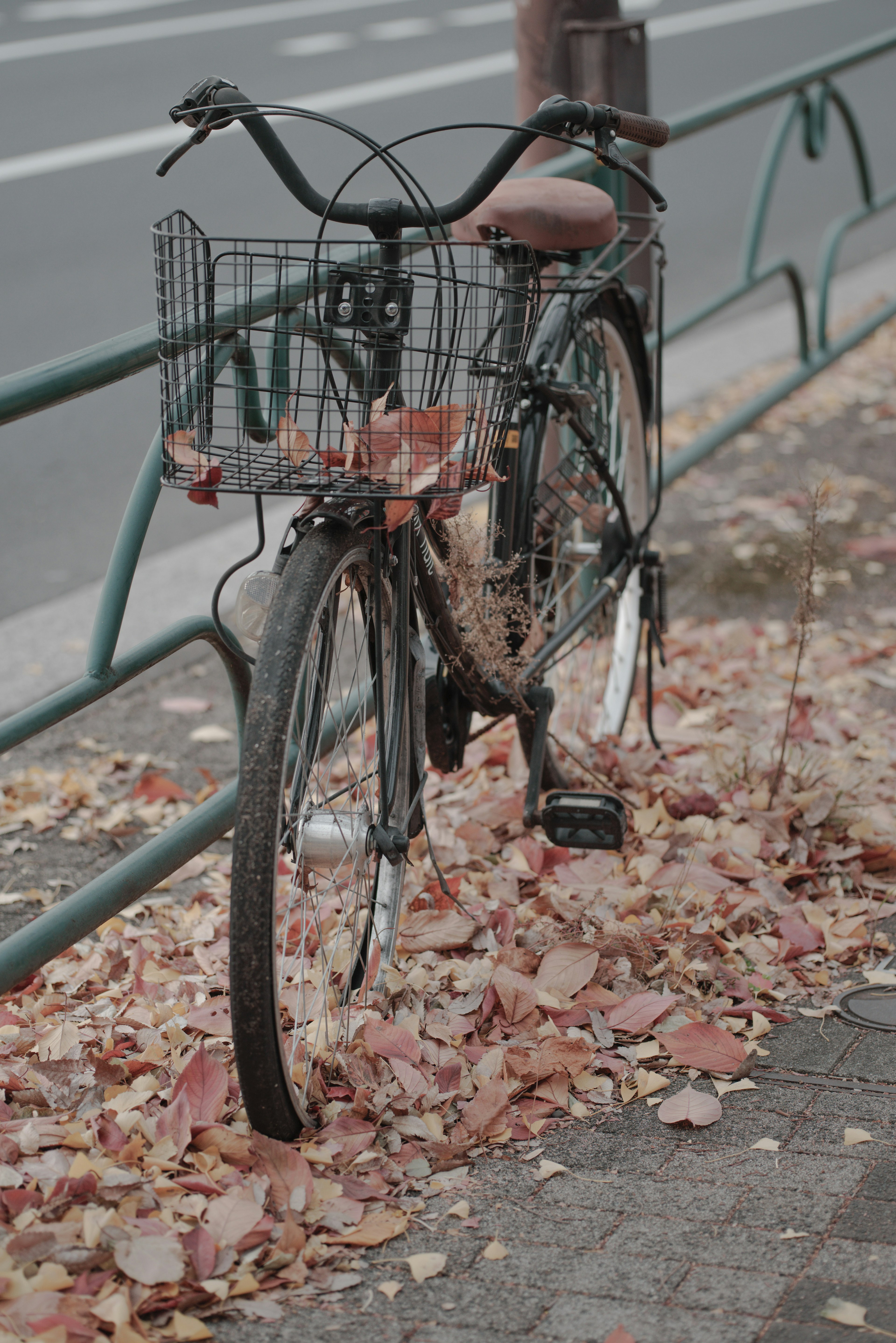 Bicycle parked on a sidewalk covered with autumn leaves and a basket